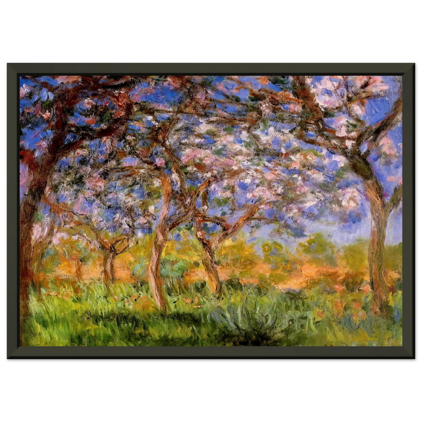 claude monet  Giverny in Springtime Framed Art Print  - Aluminum Frame - 60x80 cm / 24x32 inches