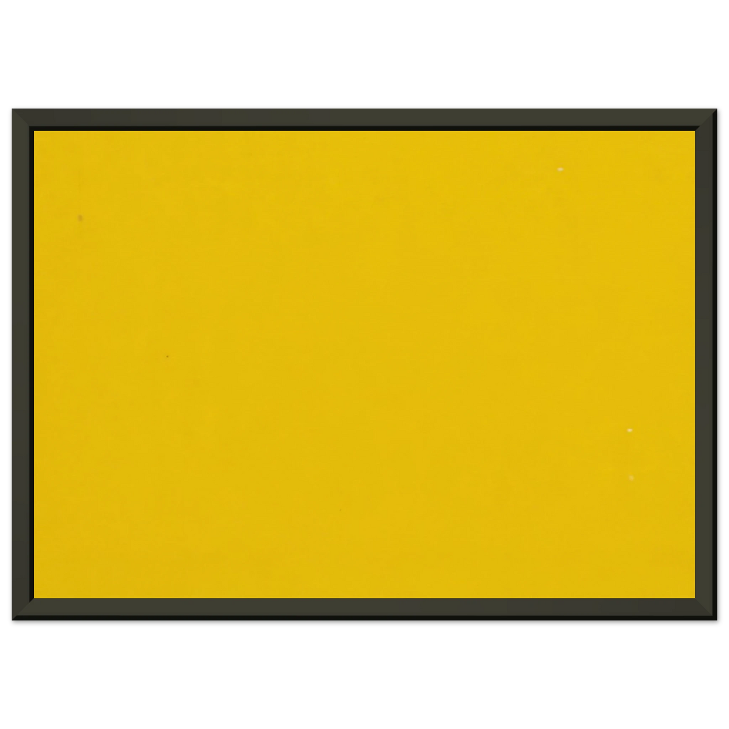 03005ea6-b4da-40be-b355-c24fb3b69e3f