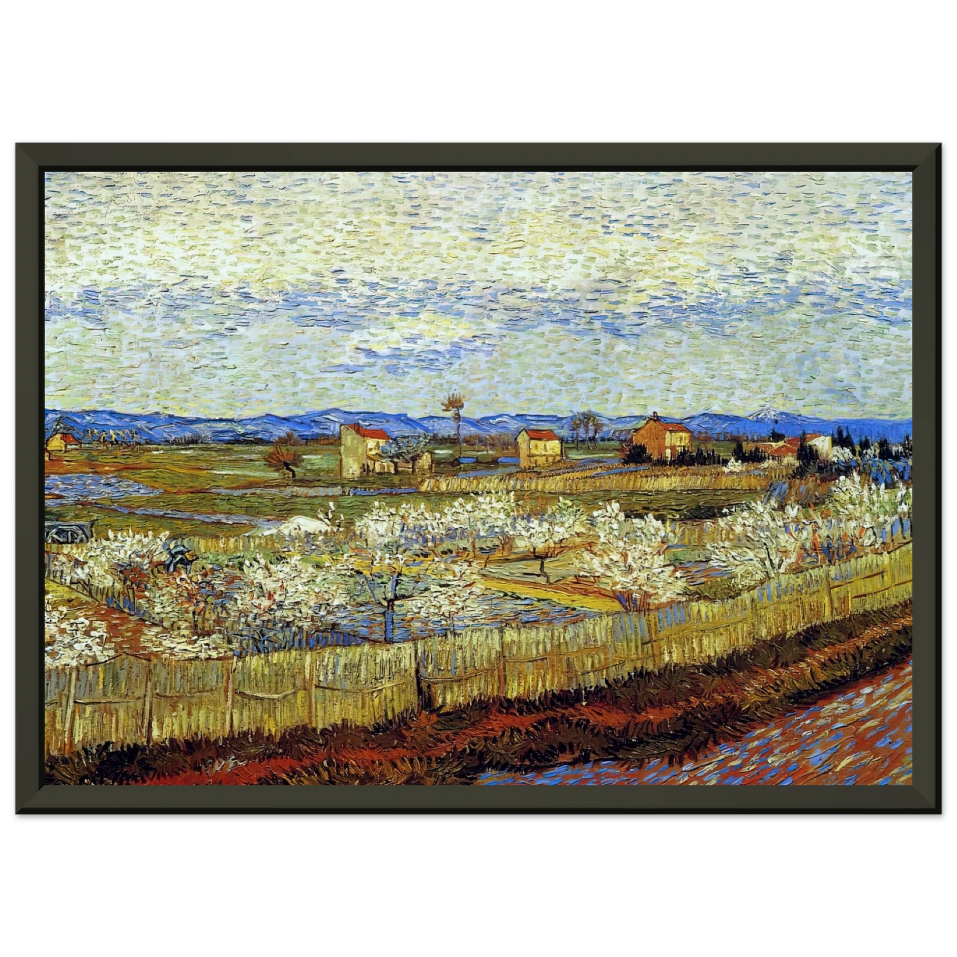 Vincent van Gogh  Peach Trees in Blossom Framed Art Print  - Aluminum Frame - 70x100 cm / 28x40 inches