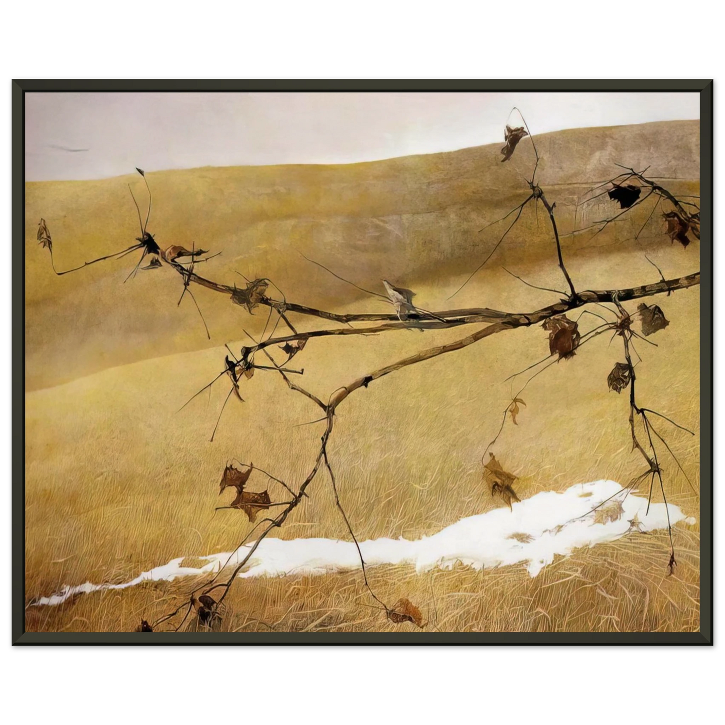 Andrew Wyeth LONG LIMB Framed Art Print - Aluminum Frame - 70x100 cm / 28x40 inches