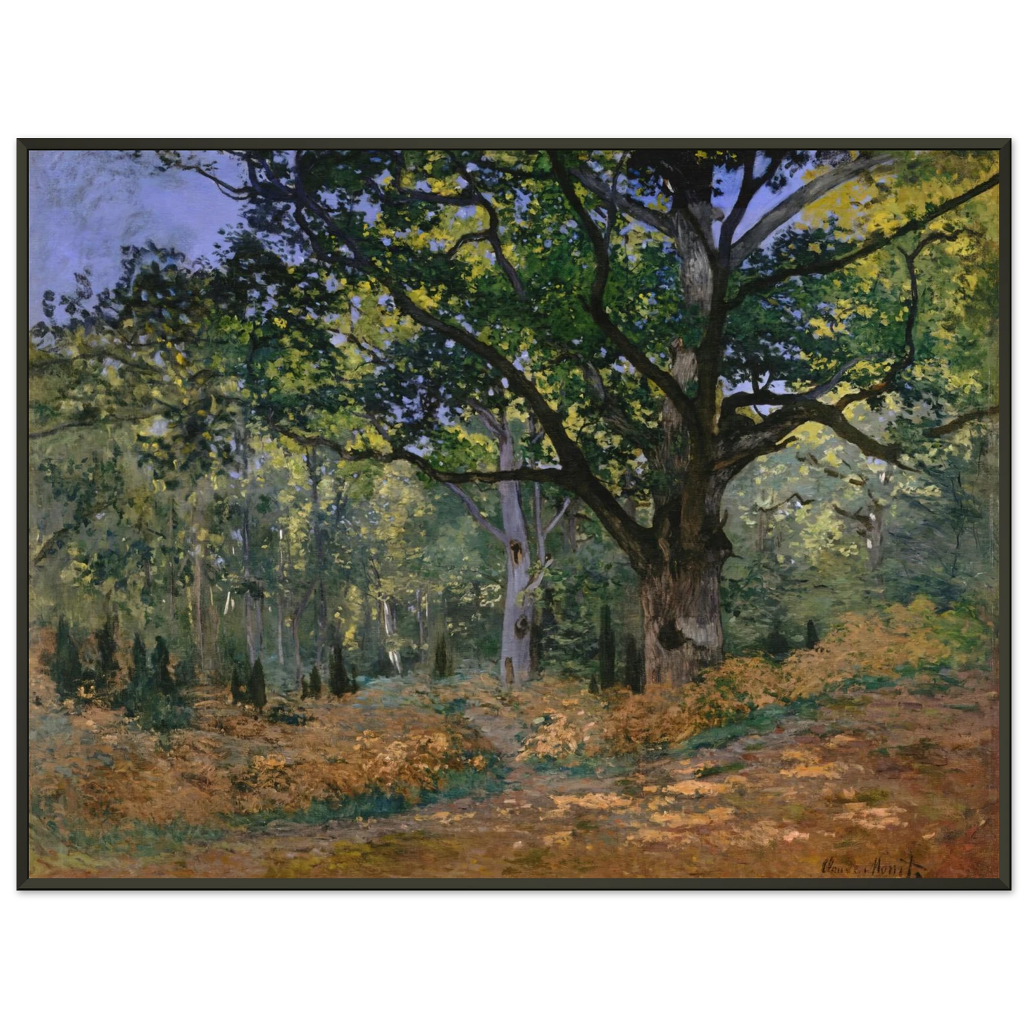 claude monet  The Bodmer Oak Fontainebleau Framed Art Print  - Aluminum Frame - 40x50 cm / 16x20 inches