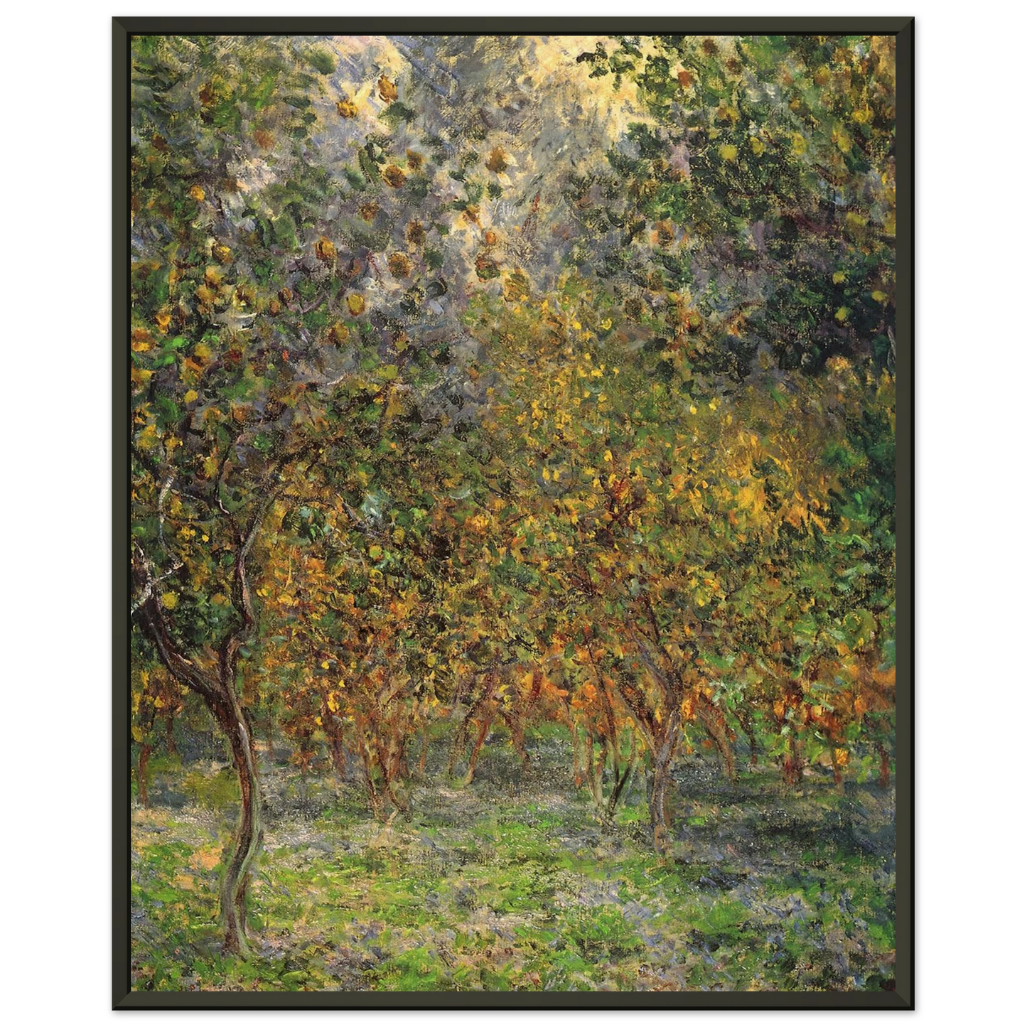claude monet Under the Lemon Trees Framed Art Print - Aluminum Frame - 70x100 cm / 28x40 inches