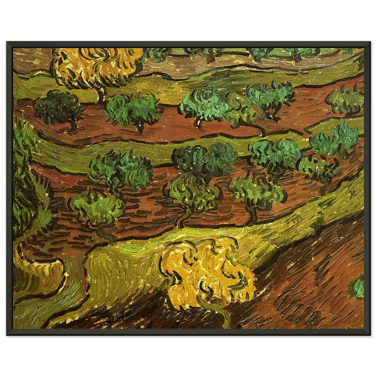 Vincent van Gogh  Olive Trees against a Slope of a Hill Framed Art Print  - Aluminum Frame - 60x80 cm / 24x32 inches