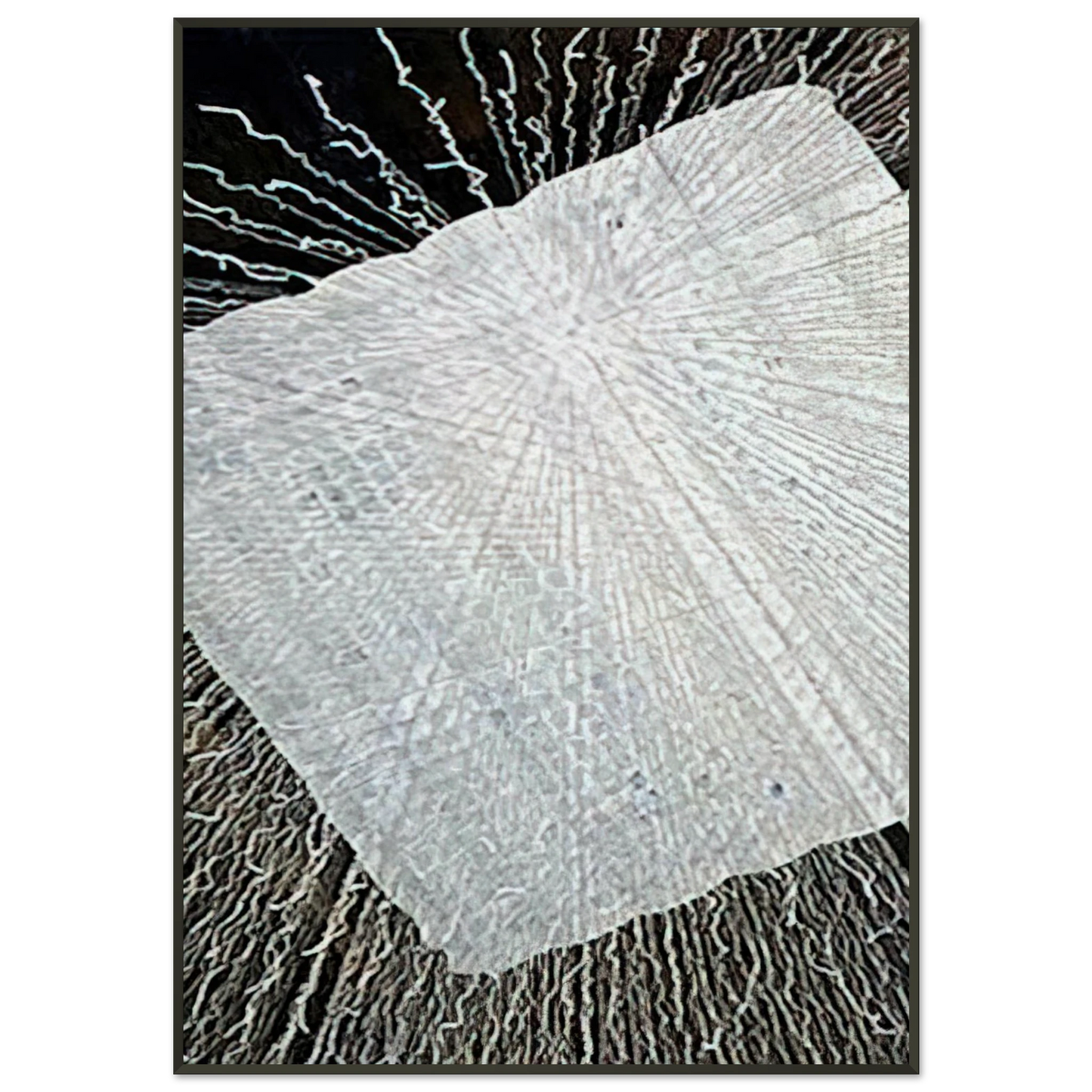 16ea2f91-0626-49e7-af76-f77897e8ed4c