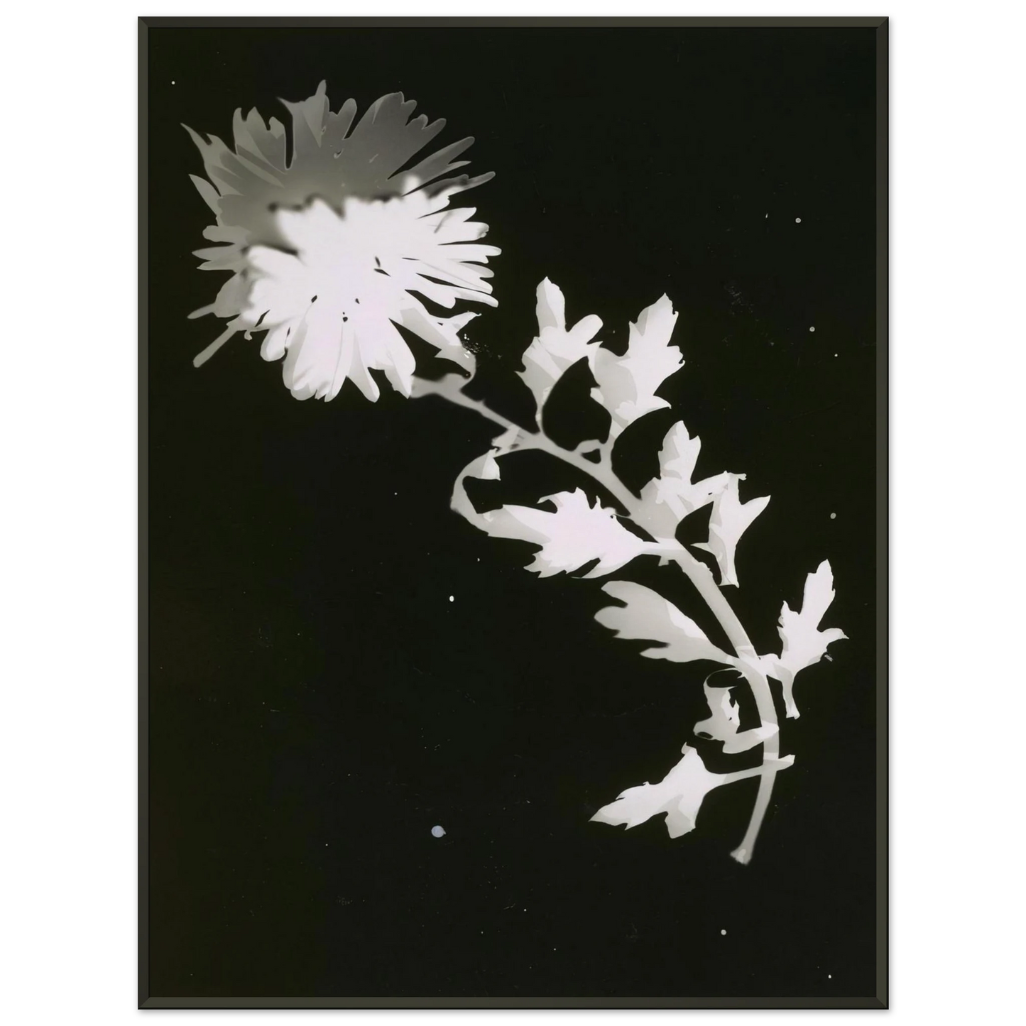 1cf479ce-041b-4604-87c6-d5eef9a7b84a