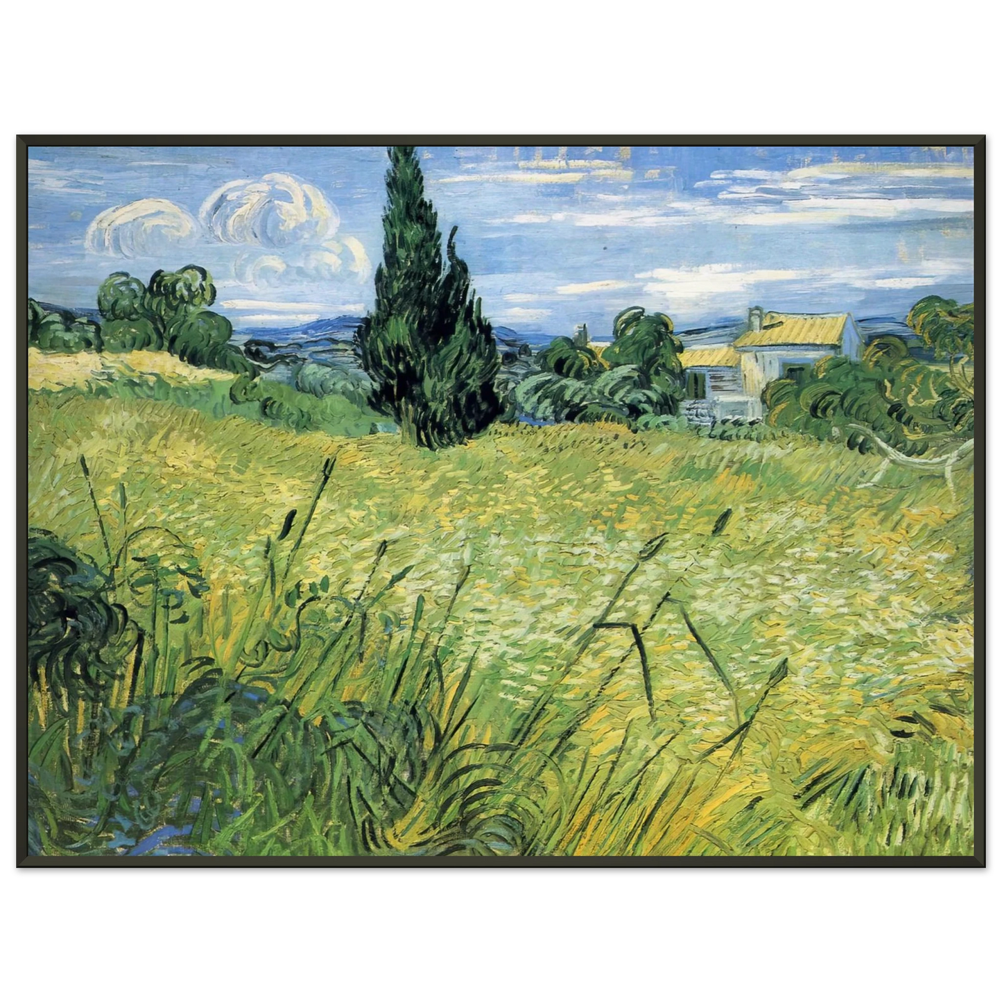 Vincent van Gogh  Green Wheat Field with Cypress Framed Art Print  - Aluminum Frame - 40x50 cm / 16x20 inches