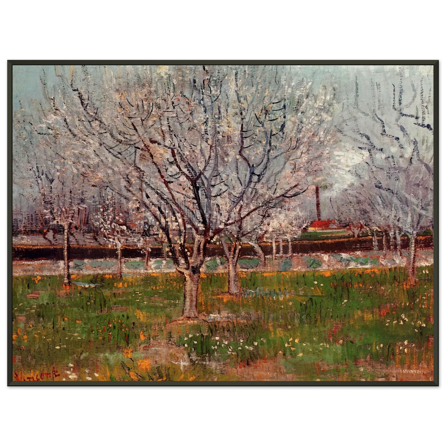 Vincent van Gogh  Orchard in Blossom Plum Trees Framed Art Print  - Aluminum Frame - 40x50 cm / 16x20 inches