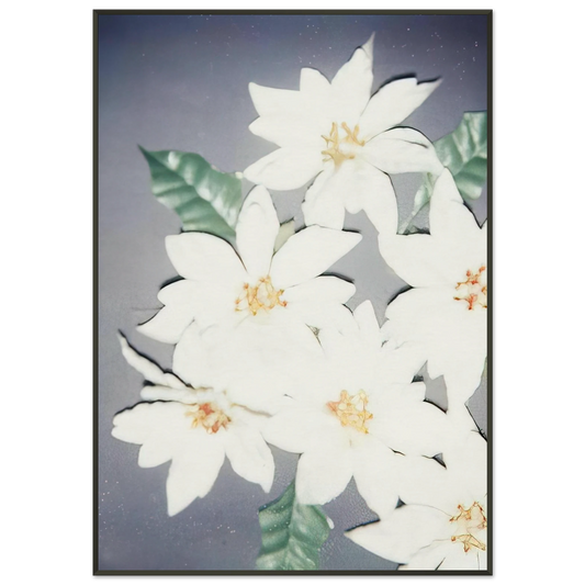 24e34c9f-3925-414f-bcc4-771cb2bf27e2