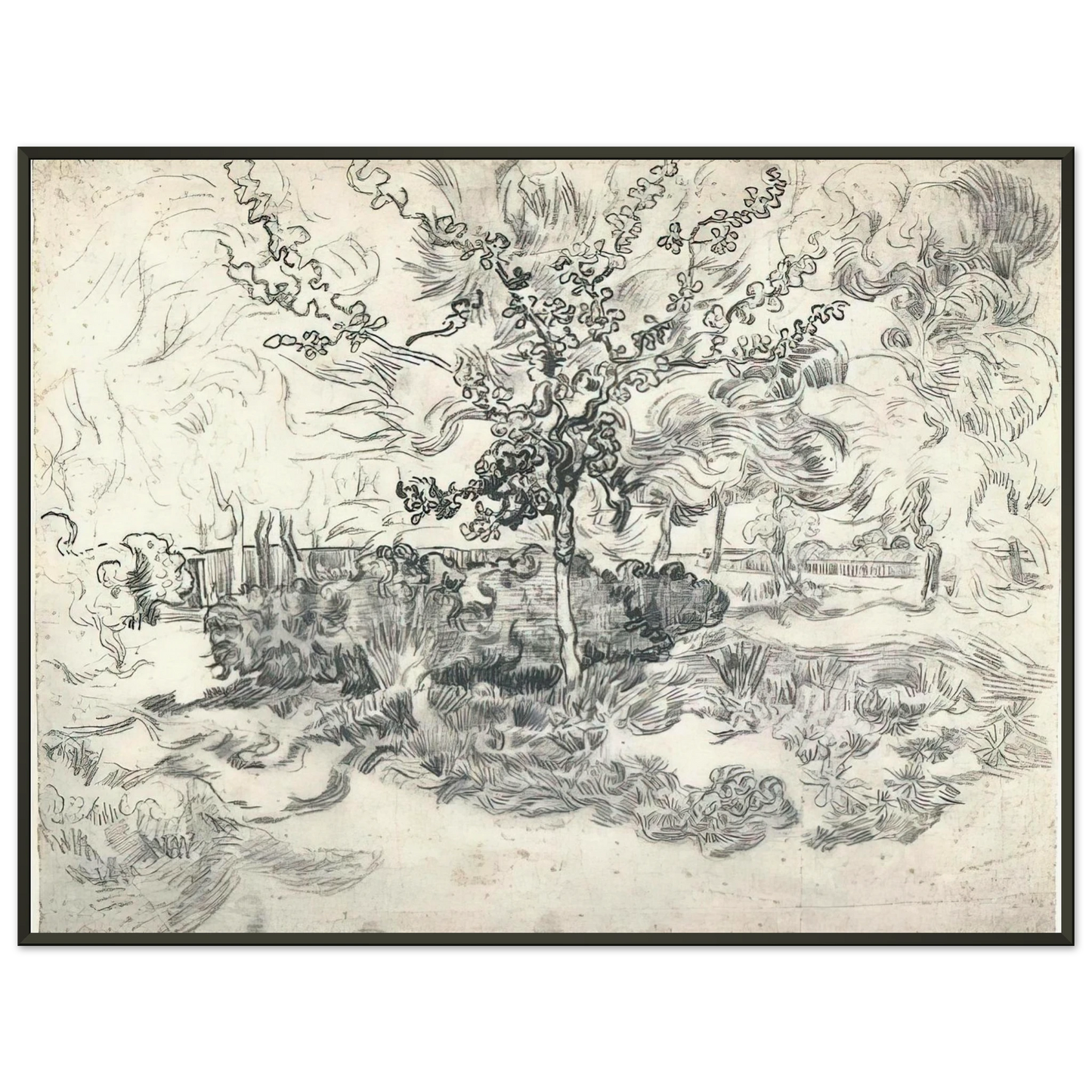 Vincent van Gogh  Garden of the Asylum Framed Art Print  - Aluminum Frame - 40x50 cm / 16x20 inches