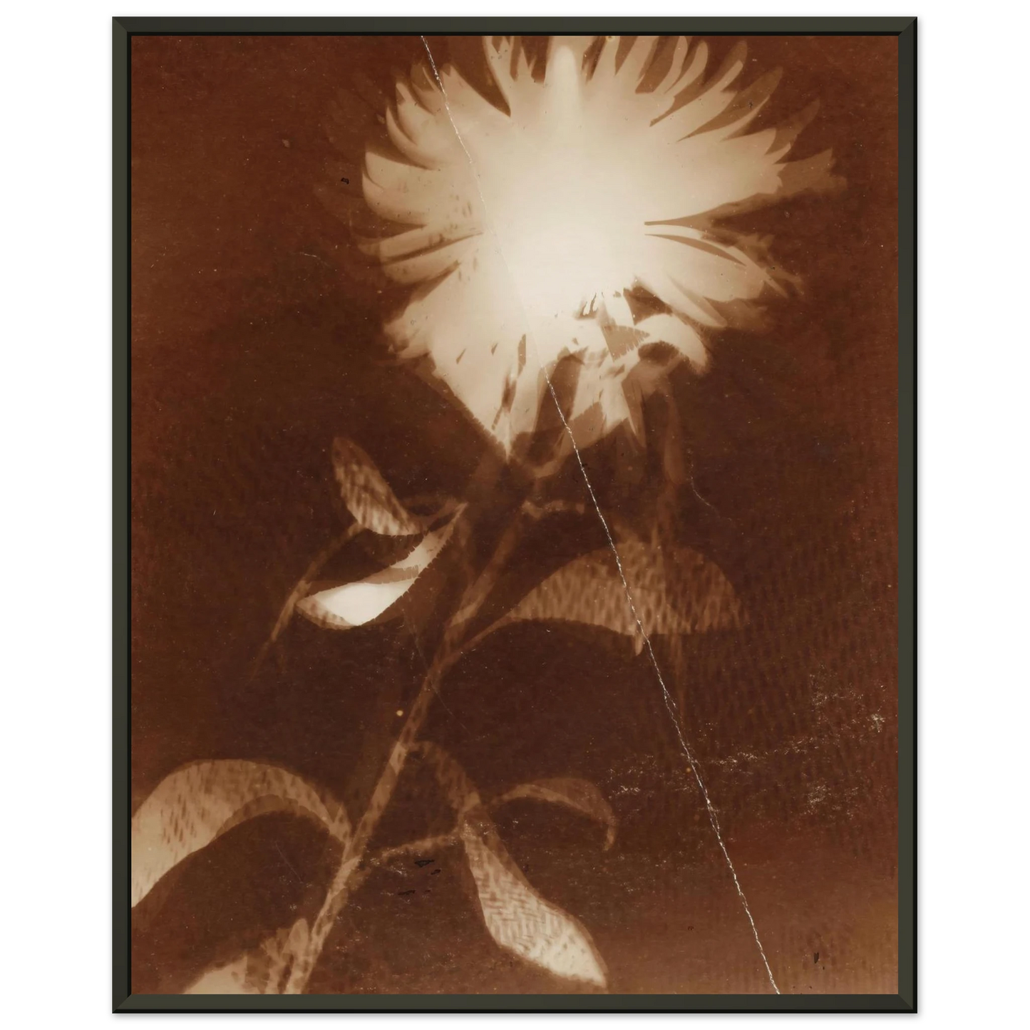 27a4f471-27c7-4e0f-a0fe-1e132f0470da