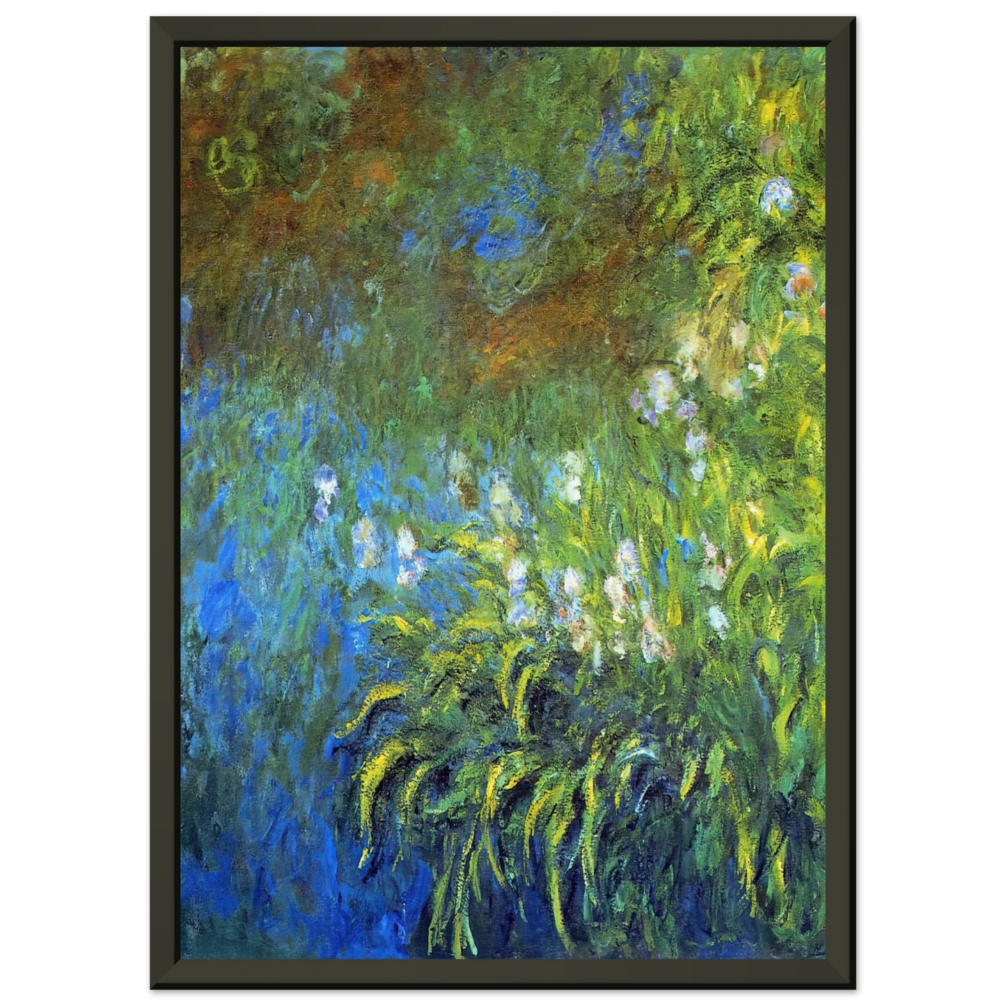 claude monet Iris at the SeaRose Pond Framed Art Print - Aluminum Frame - 40x50 cm / 16x20 inches