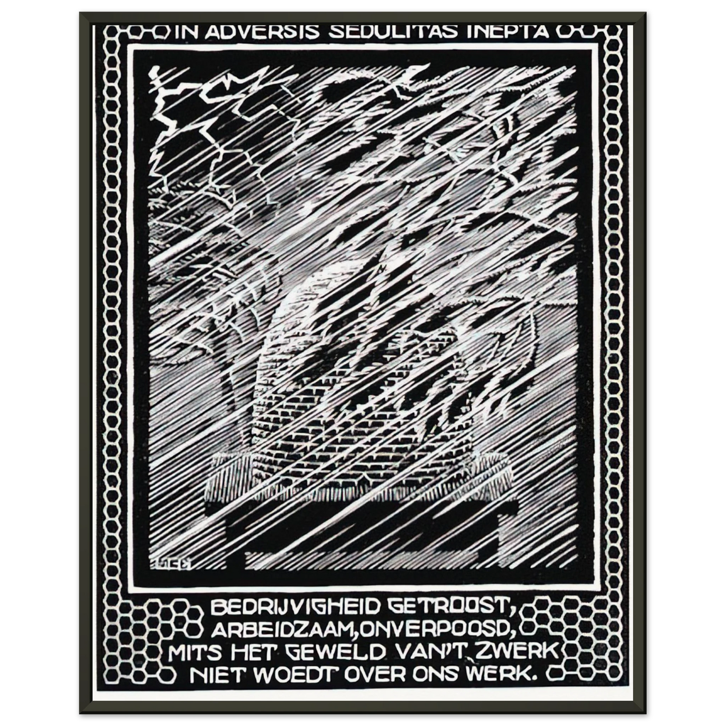 MC Escher  EMBLEMATA BEEHIVE Framed Art Print  - Aluminum Frame - 40x50 cm / 16x20 inches