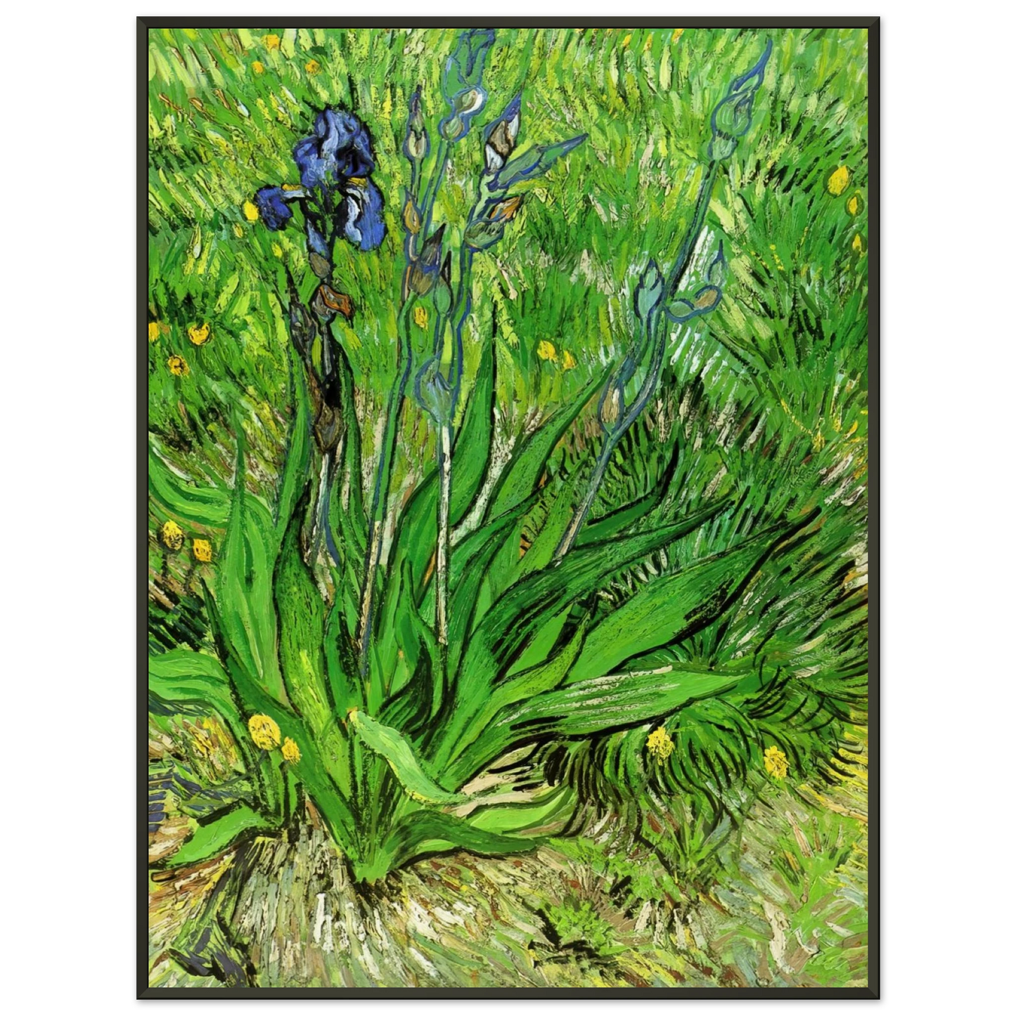 Vincent van Gogh  The Iris Framed Art Print  - Aluminum Frame - 70x100 cm / 28x40 inches