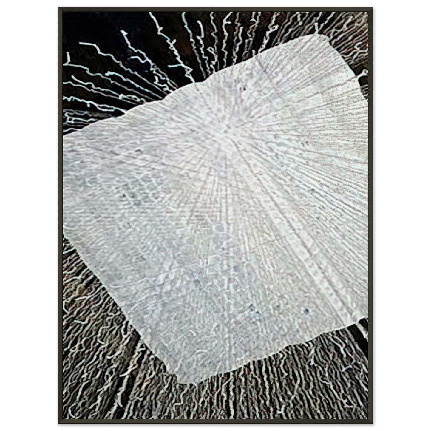 2dad586e-e5bc-4b5c-a3e0-7a3e2a040045