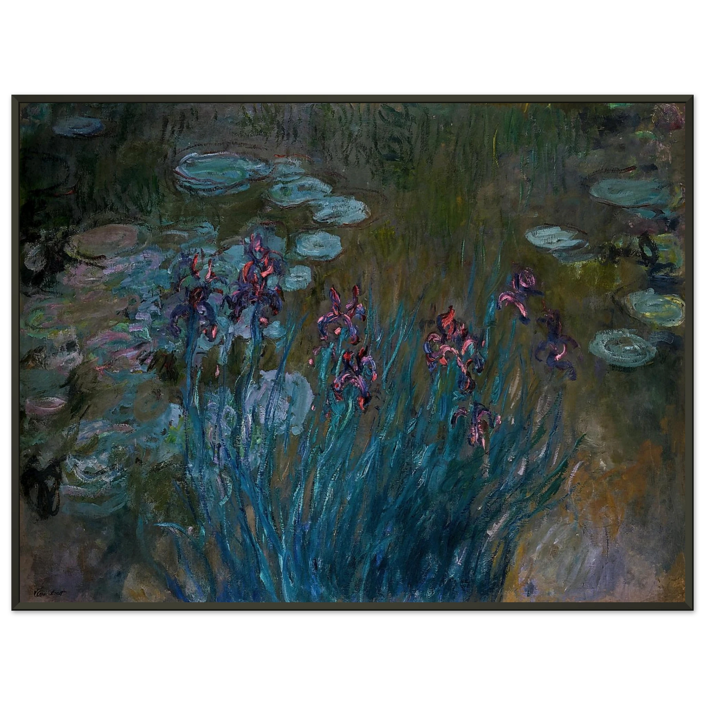 claude monet  Irises and WaterLilies Framed Art Print  - Aluminum Frame - 60x80 cm / 24x32 inches