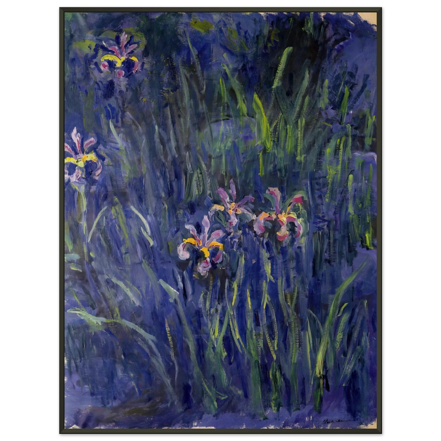 claude monet  Irises 2 Framed Art Print  - Aluminum Frame - 40x50 cm / 16x20 inches