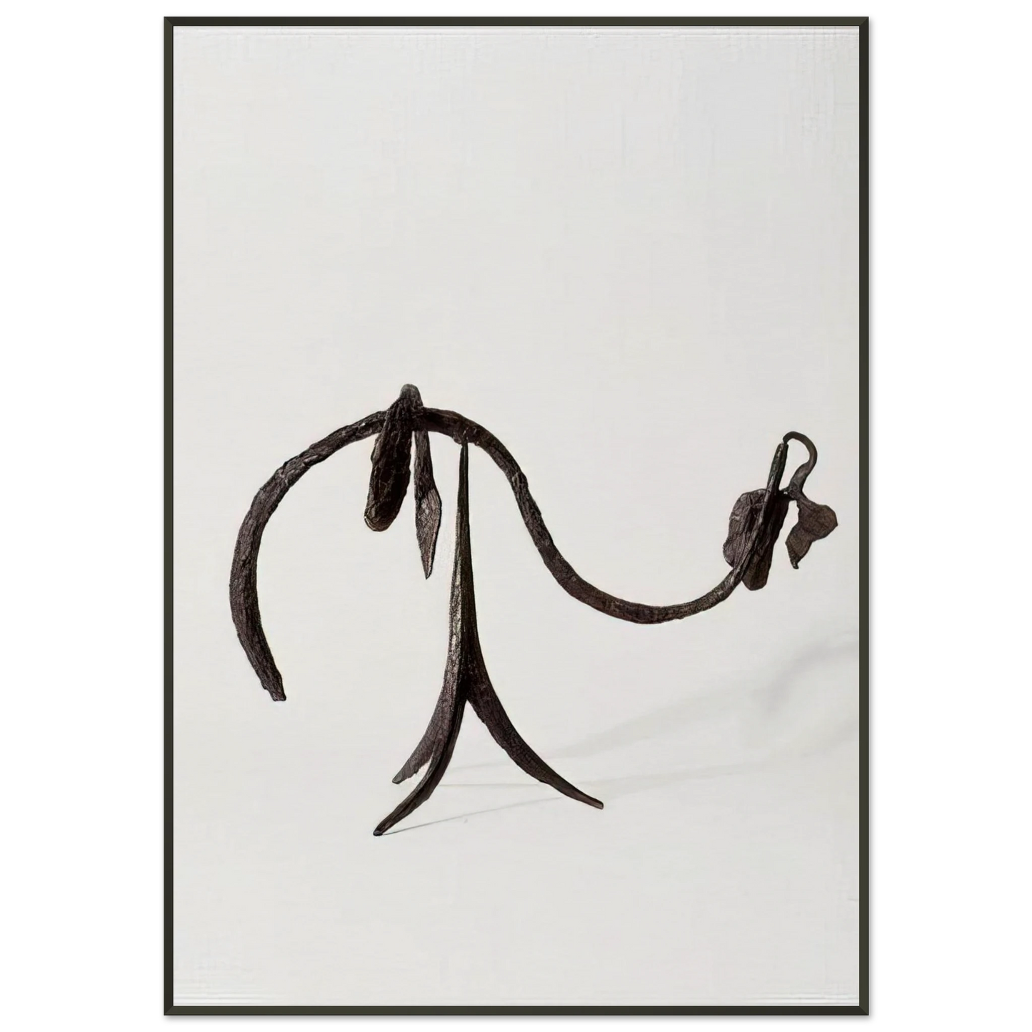Alexander Calder THE VINE 1944 Framed Art Print - Aluminum Frame - 21x29.7 cm / 8x12"
