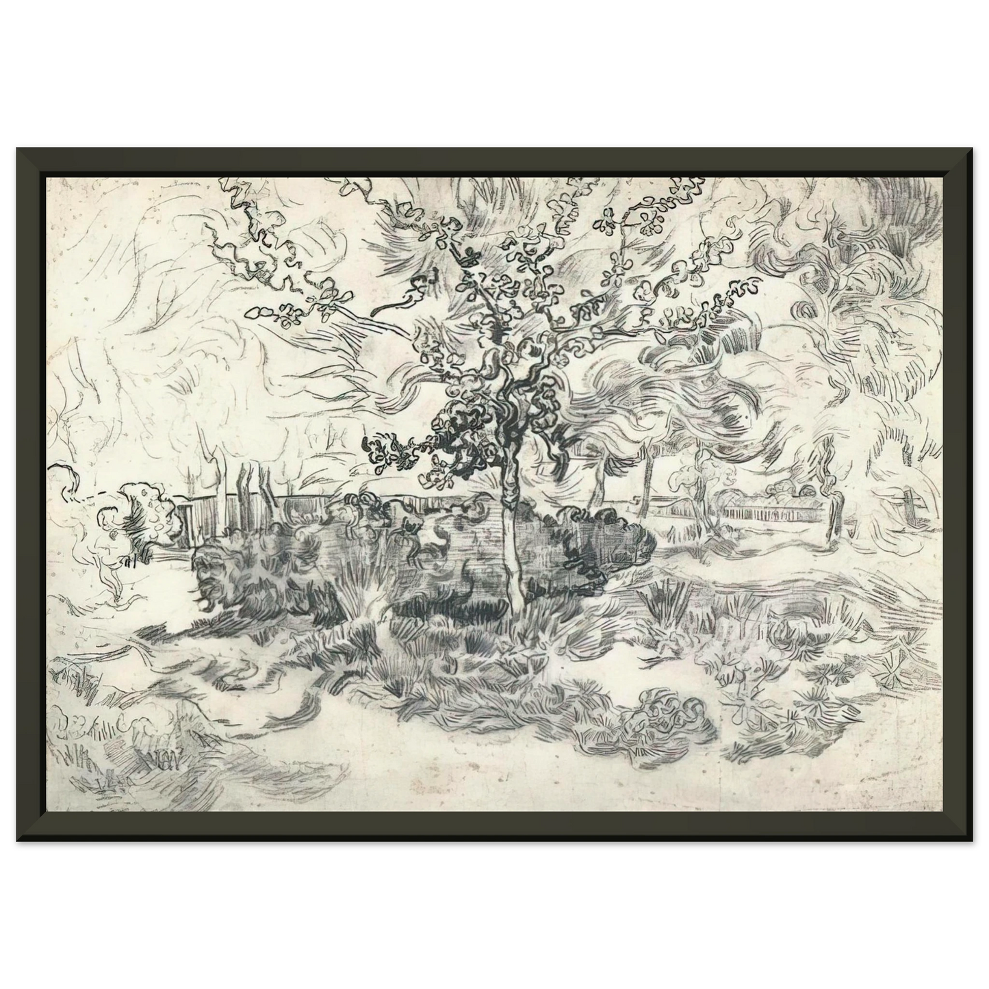 Vincent van Gogh  Garden of the Asylum Framed Art Print  - Aluminum Frame - 70x100 cm / 28x40 inches