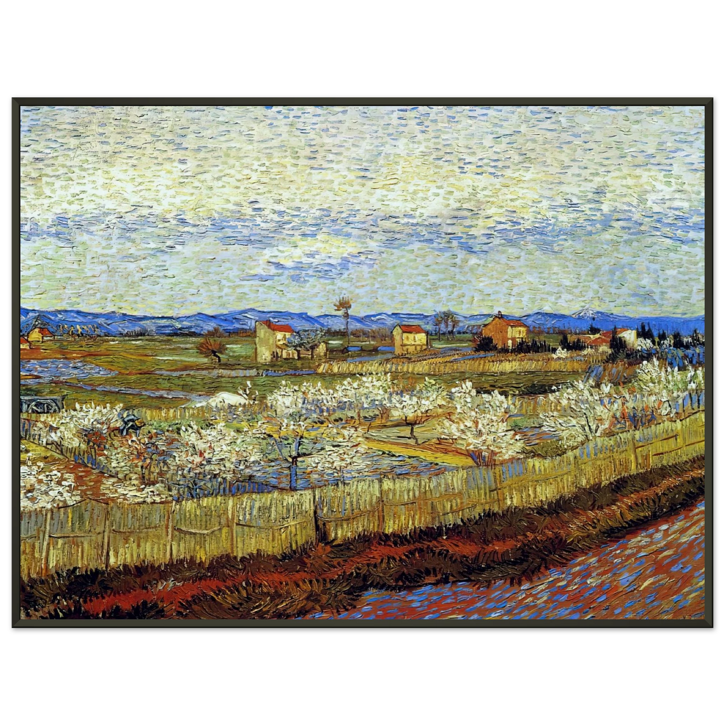 Vincent van Gogh  Peach Trees in Blossom Framed Art Print  - Aluminum Frame - 40x50 cm / 16x20 inches