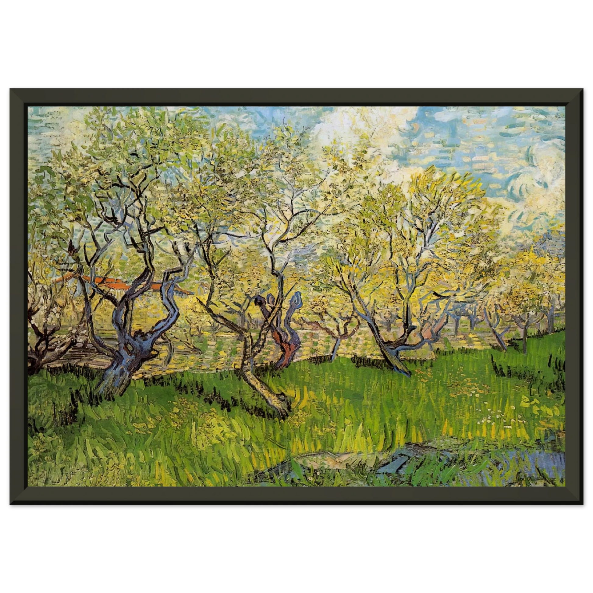 Vincent van Gogh  Orchard in Blossom Framed Art Print  - Aluminum Frame - 60x80 cm / 24x32 inches