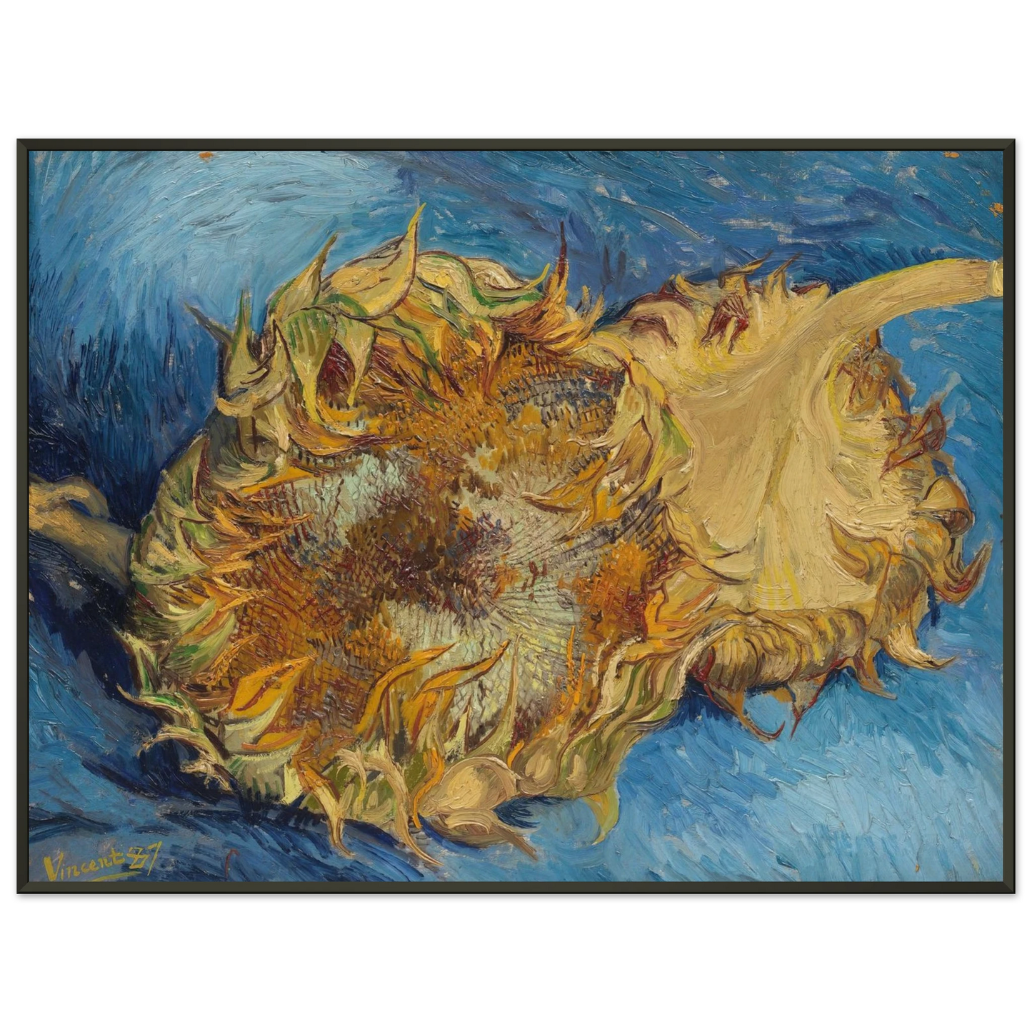 Vincent van Gogh  Still Life with Two Sunflowers Framed Art Print  - Aluminum Frame - 60x80 cm / 24x32 inches