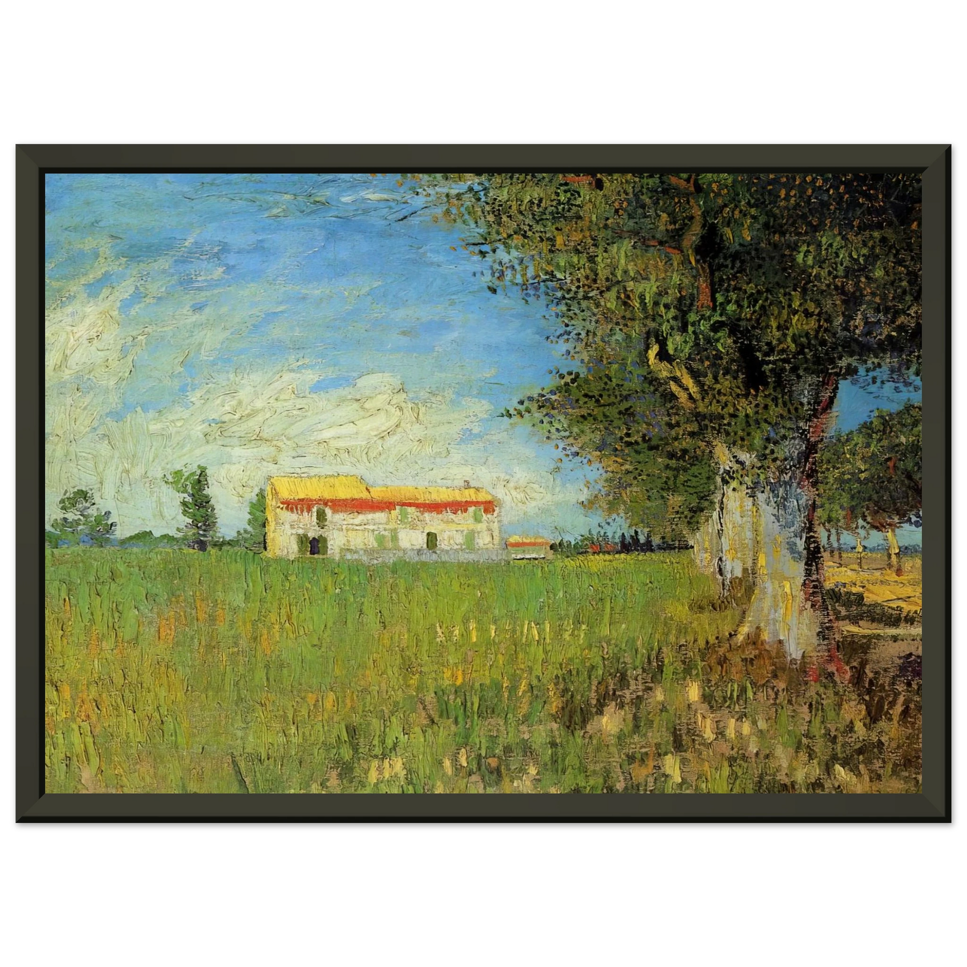 Vincent van Gogh  Farmhouse in a Wheat Field Framed Art Print  - Aluminum Frame - 40x50 cm / 16x20 inches