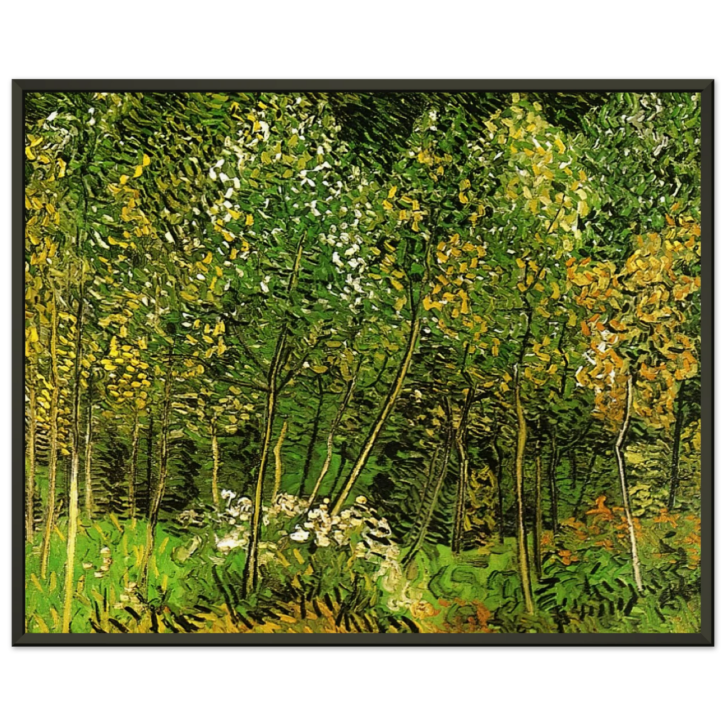 Vincent van Gogh  The Grove Framed Art Print  - Aluminum Frame - 60x80 cm / 24x32 inches