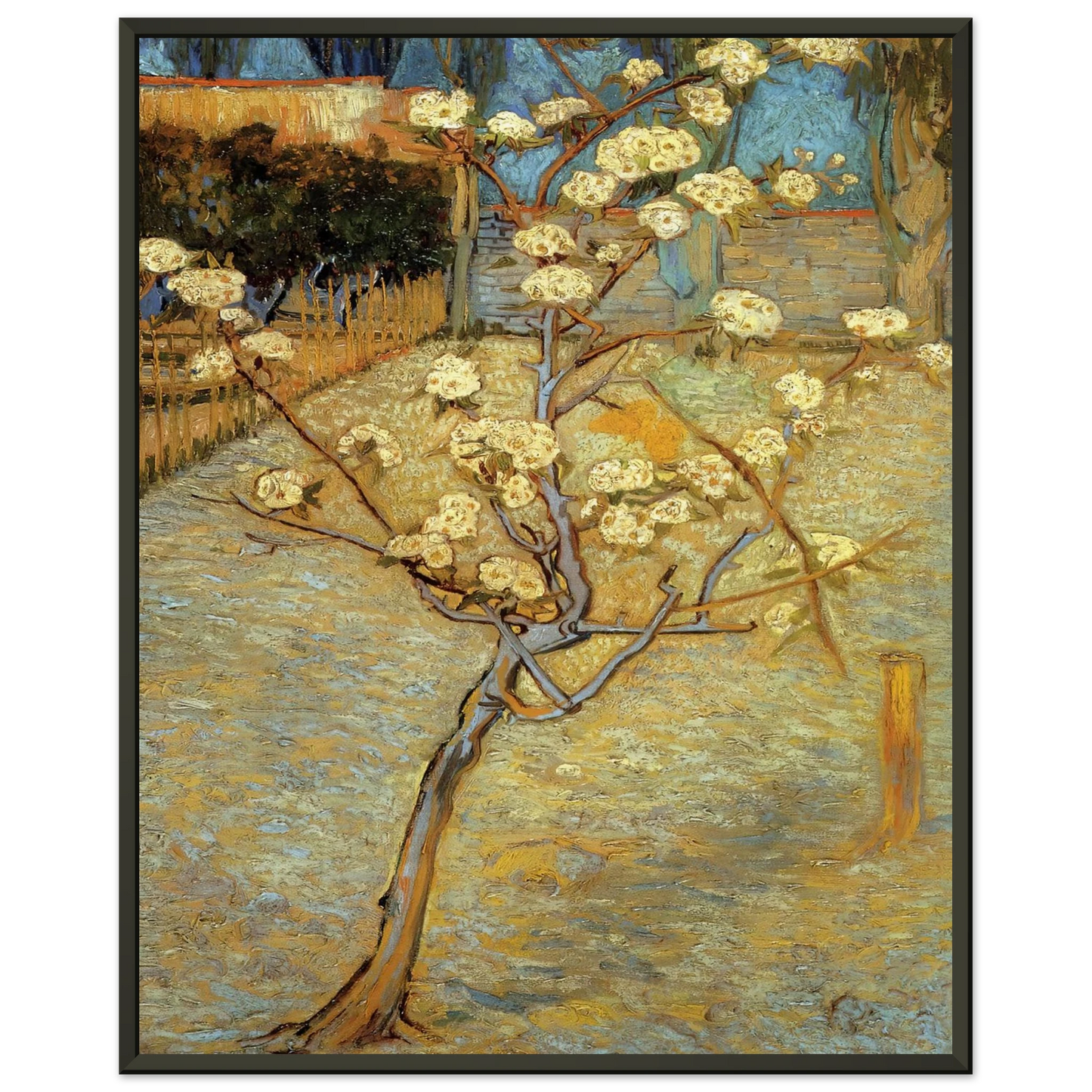 Vincent van Gogh Pear Tree in Blossom Framed Art Print - Aluminum Frame - 70x100 cm / 28x40 inches
