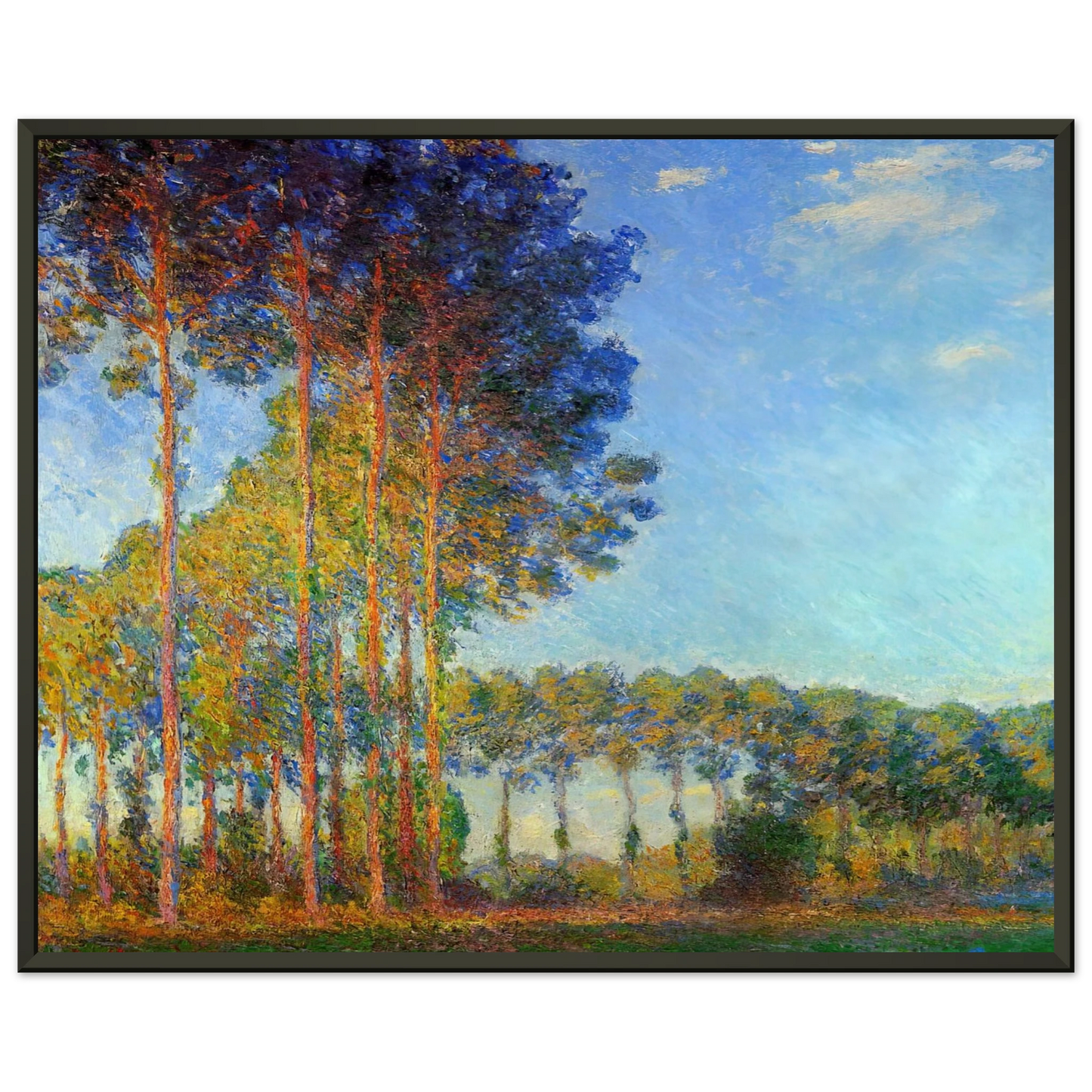 claude monet  Poplars on the Banks of the River Epte Seen from the Marsh Framed Art Print  - Aluminum Frame - 40x50 cm / 16x20 inches