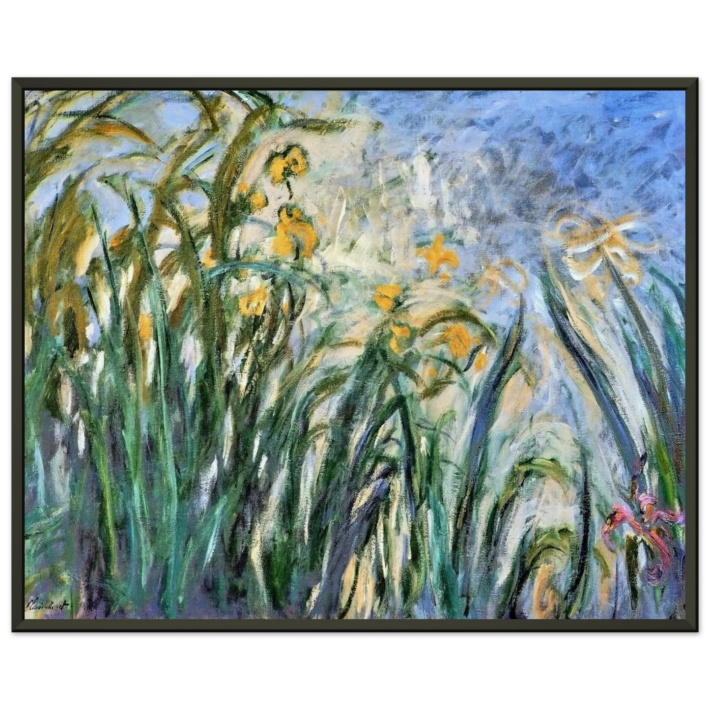 claude monet Yellow Irises and Malva Framed Art Print - Aluminum Frame - 70x100 cm / 28x40 inches