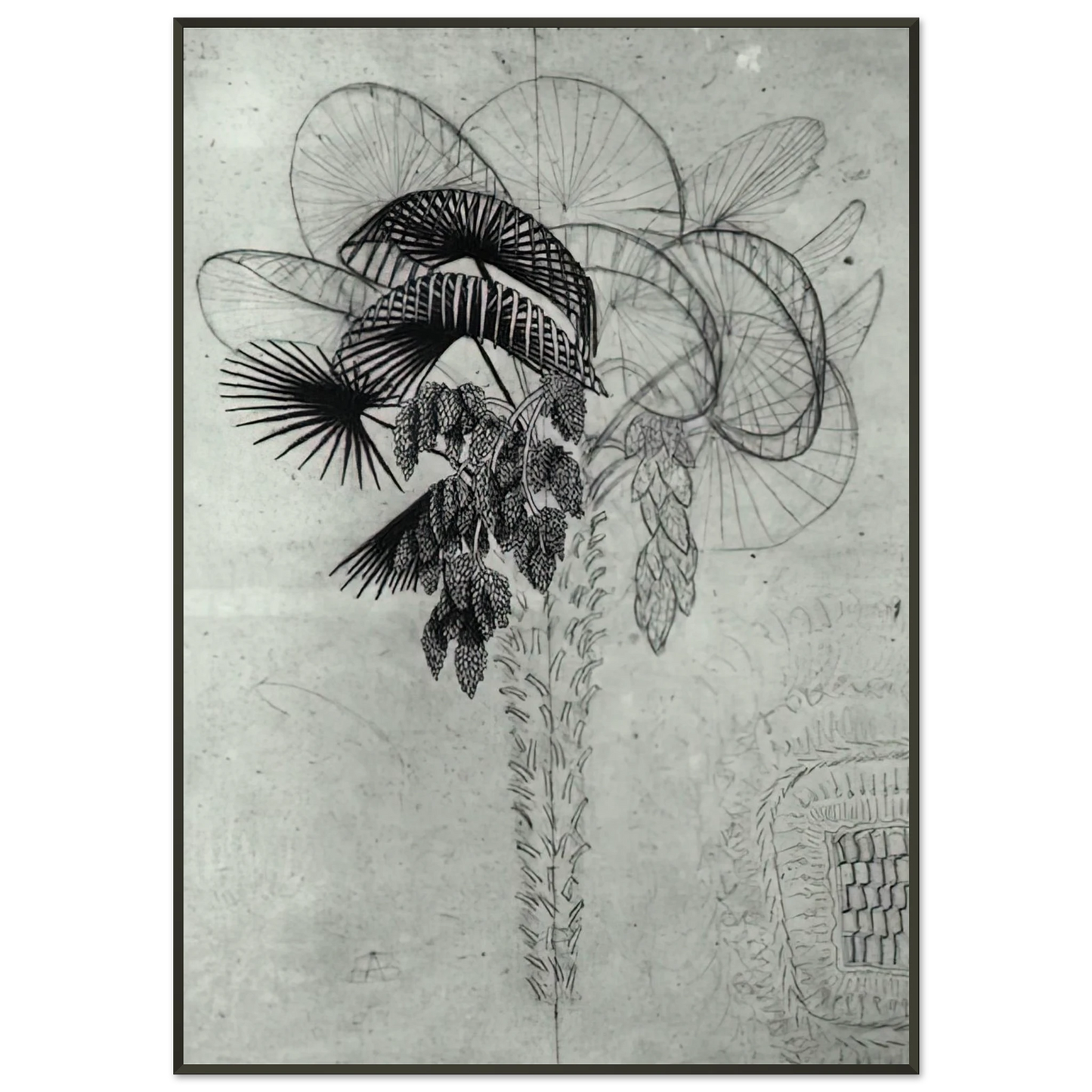 MC Escher  PALM TREE SKETCH Framed Art Print  - Aluminum Frame - 21x29.7 cm / 8x12"