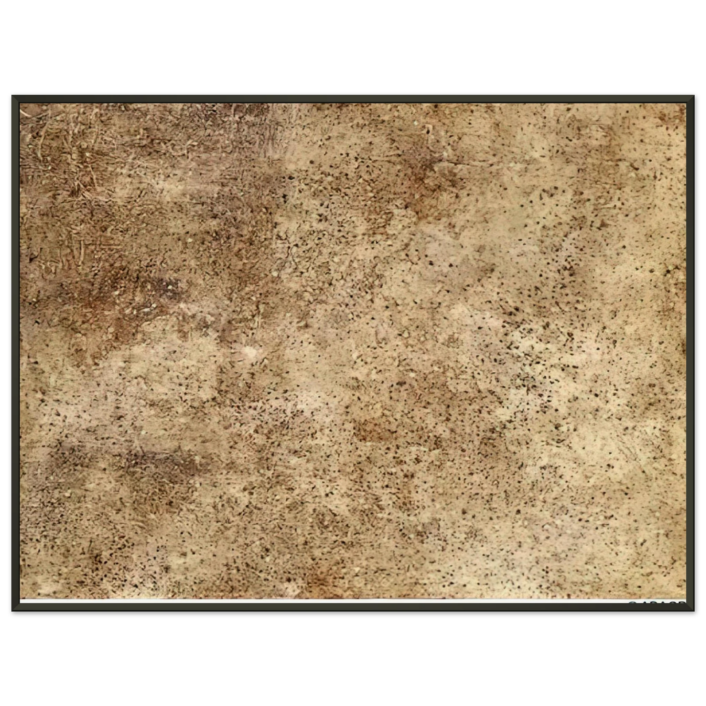 503ef14f-0e85-4127-a112-e096b6f07464