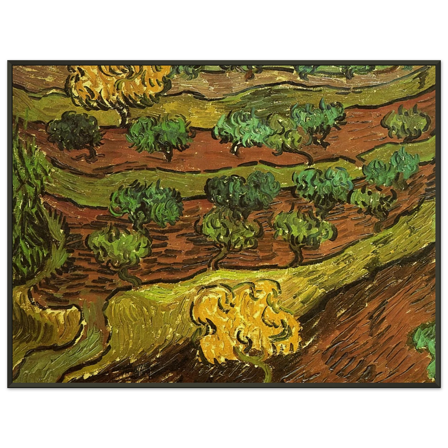 Vincent van Gogh  Olive Trees against a Slope of a Hill Framed Art Print  - Aluminum Frame - 70x100 cm / 28x40 inches