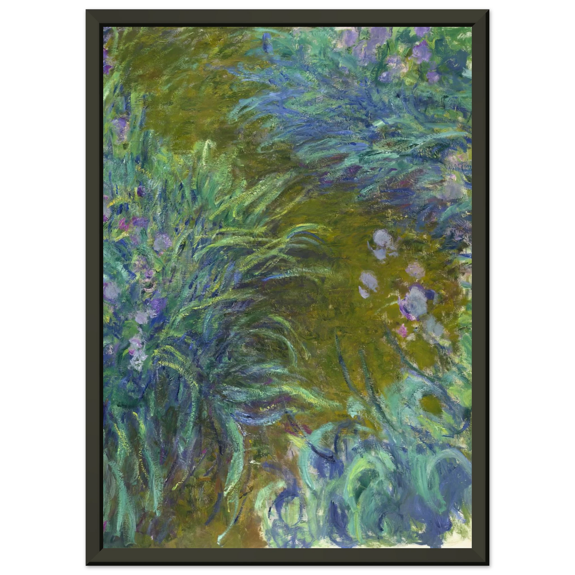 claude monet  Path through the Irises 02 Framed Art Print  - Aluminum Frame - 40x50 cm / 16x20 inches