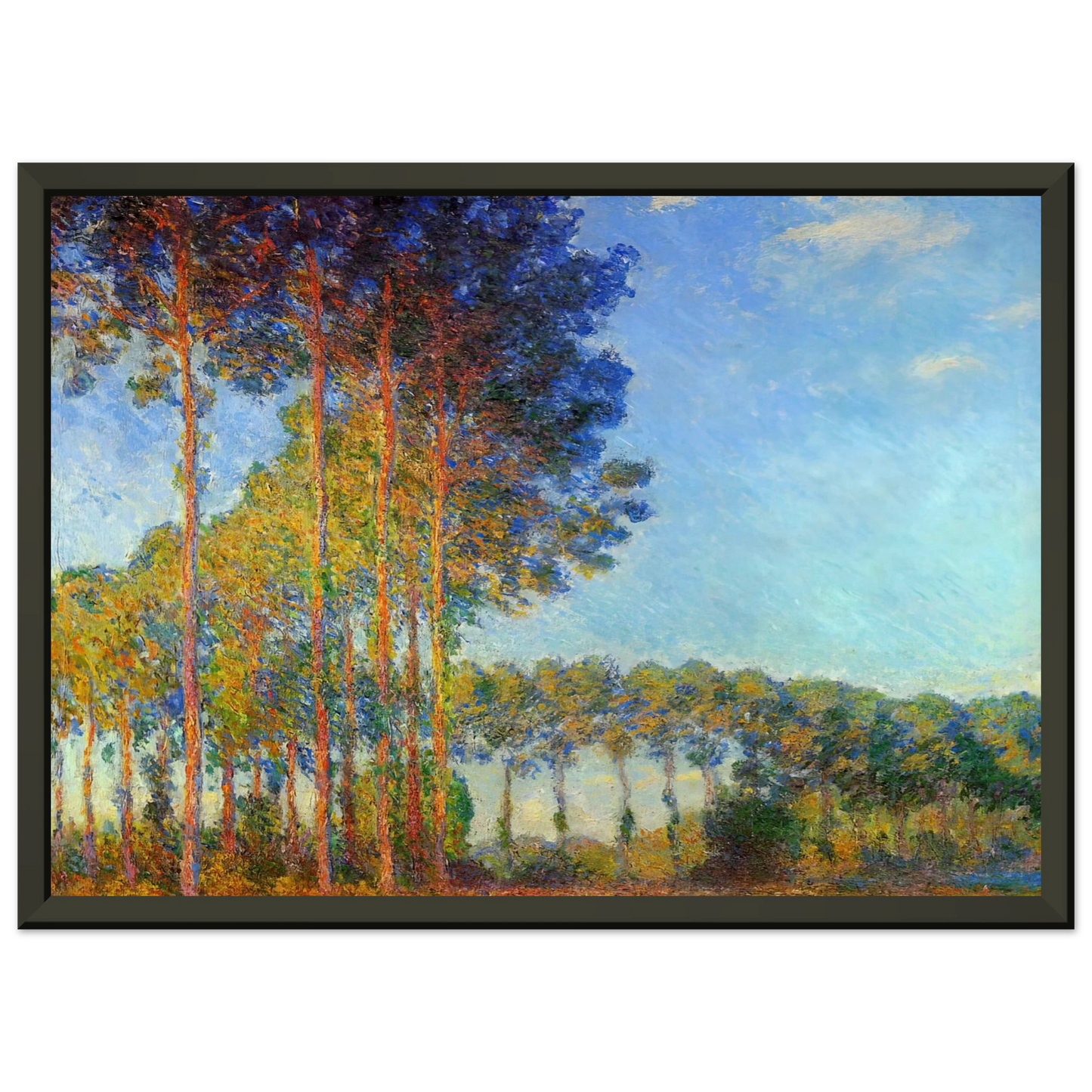 claude monet  Poplars on the Banks of the River Epte Seen from the Marsh Framed Art Print  - Aluminum Frame - 70x100 cm / 28x40 inches