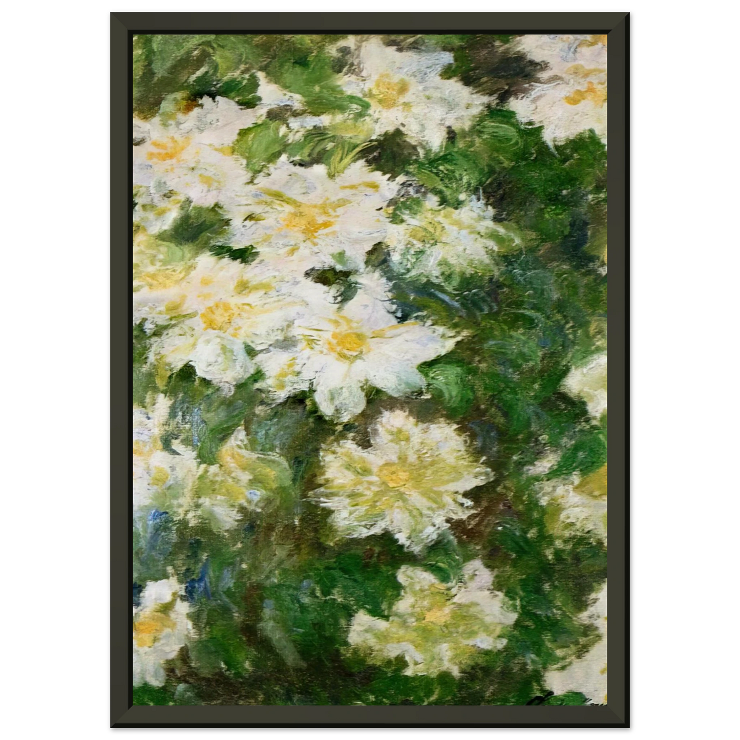 claude monet White Clematis Framed Art Print - Aluminum Frame - 60x80 cm / 24x32 inches
