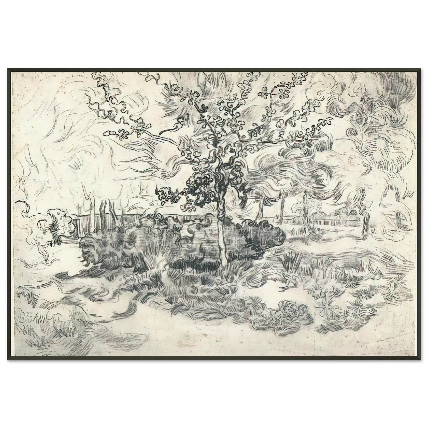 Vincent van Gogh  Garden of the Asylum Framed Art Print  - Aluminum Frame - 21x29.7 cm / 8x12"