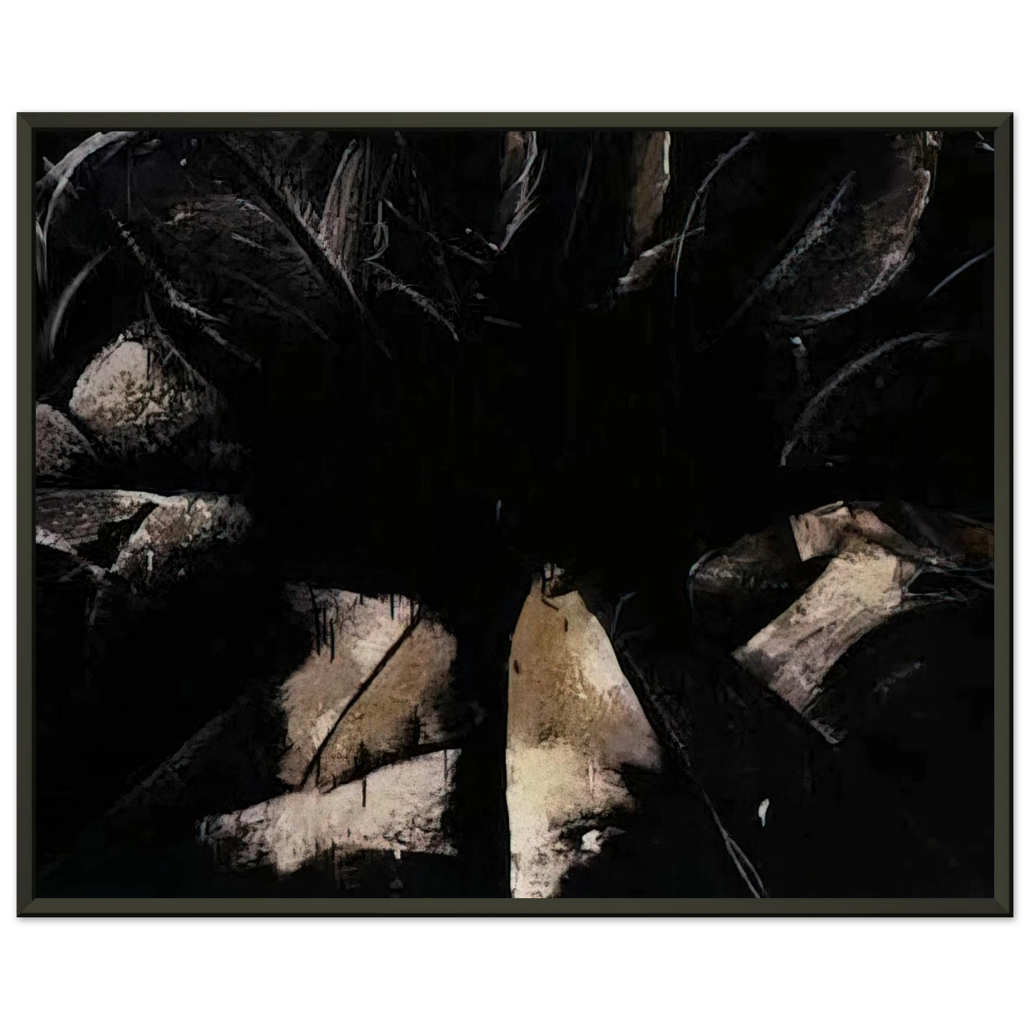 Jay DeFeo Jay DeFeoBIGCabbage Rose Framed Art Print - Aluminum Frame - 70x100 cm / 28x40 inches