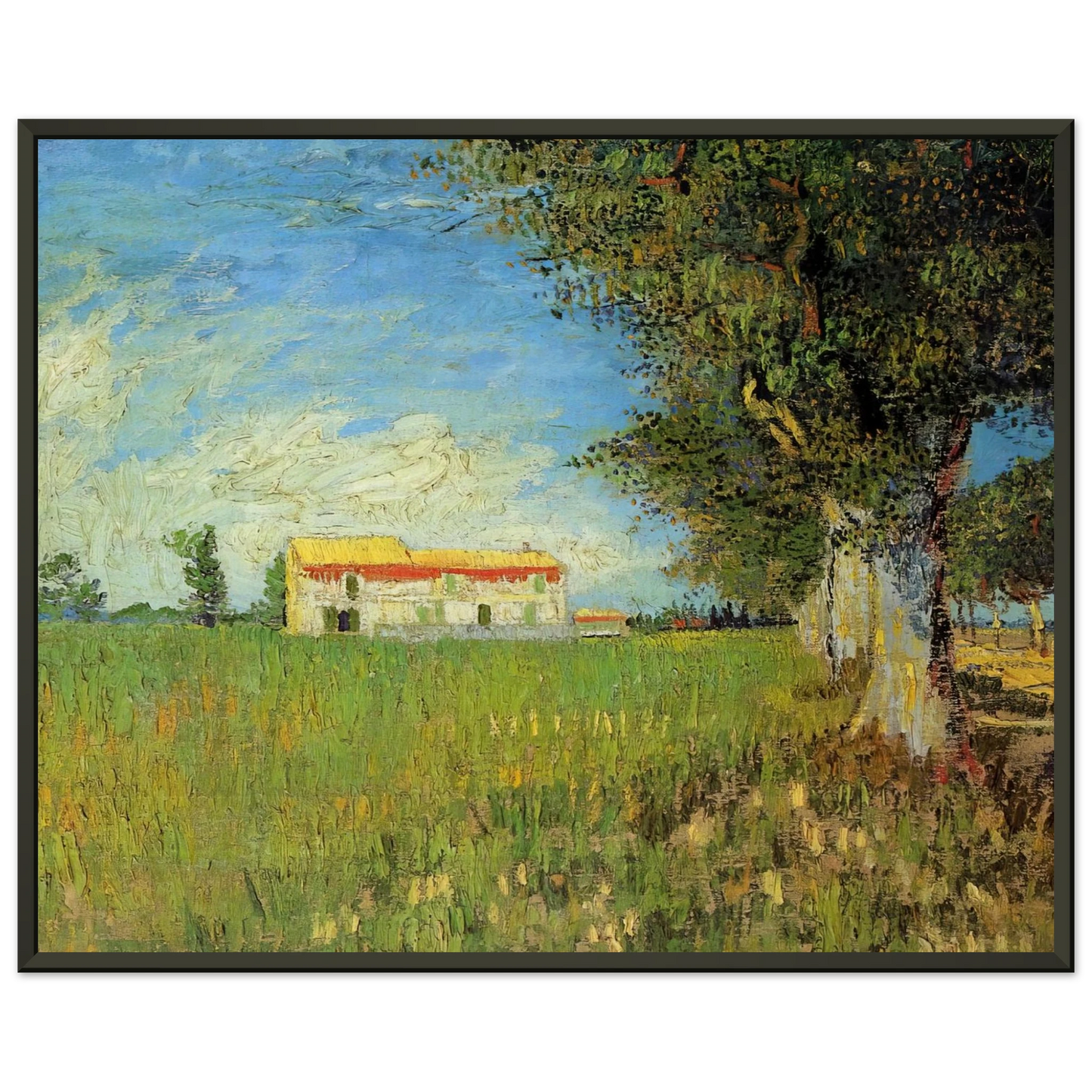 Vincent van Gogh  Farmhouse in a Wheat Field Framed Art Print  - Aluminum Frame - 70x100 cm / 28x40 inches