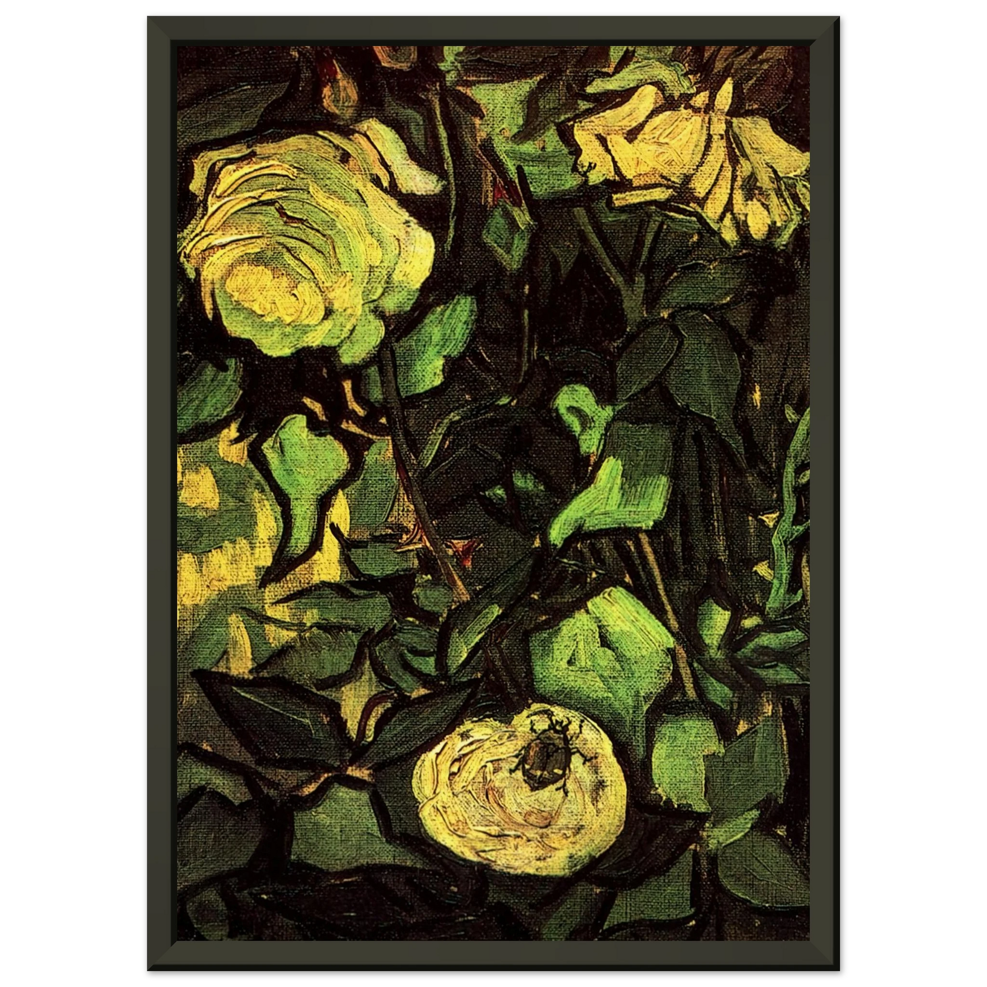Vincent van Gogh  Roses and Beetle Framed Art Print  - Aluminum Frame - 40x50 cm / 16x20 inches