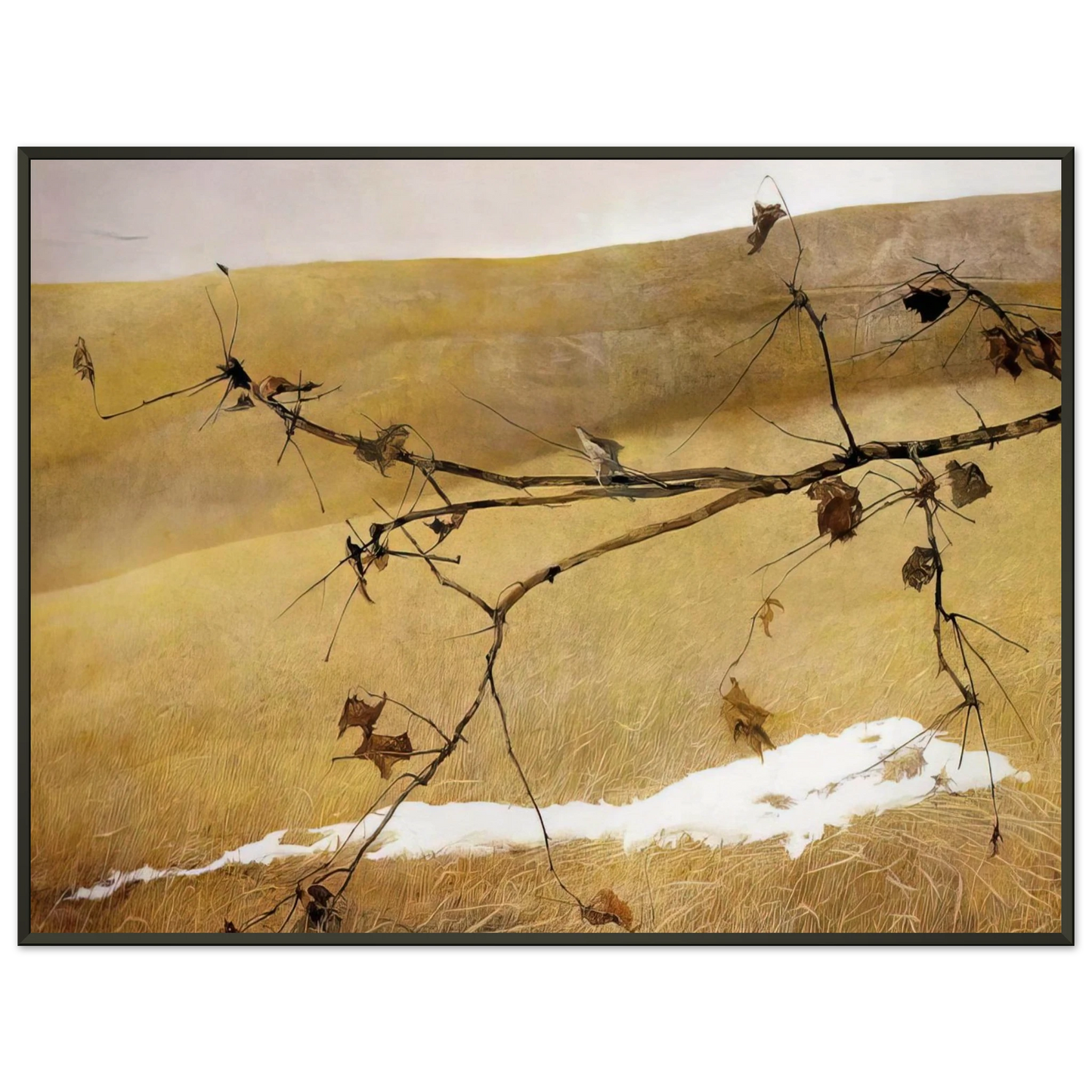 Andrew Wyeth LONG LIMB Framed Art Print - Aluminum Frame - 40x50 cm / 16x20 inches