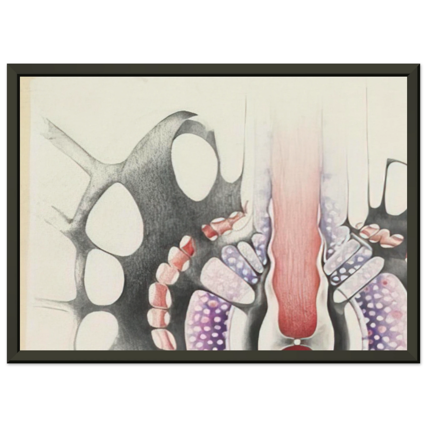 78c80f48-e0c0-4f81-abc4-fa2cedf3cd4c