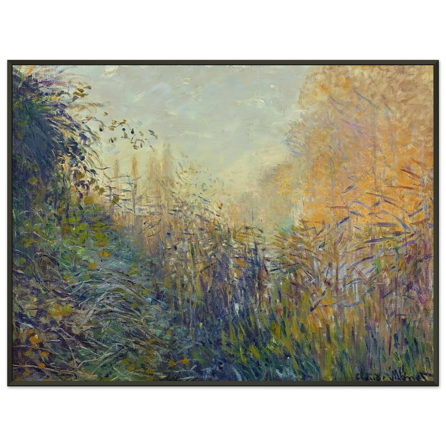 claude monet  Study Rushes at Argenteuil Framed Art Print  - Aluminum Frame - 60x80 cm / 24x32 inches
