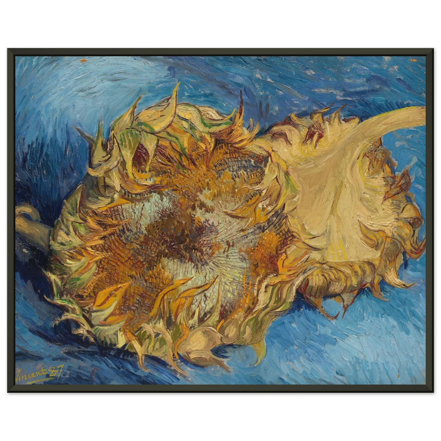 Vincent van Gogh  Still Life with Two Sunflowers Framed Art Print  - Aluminum Frame - 70x100 cm / 28x40 inches