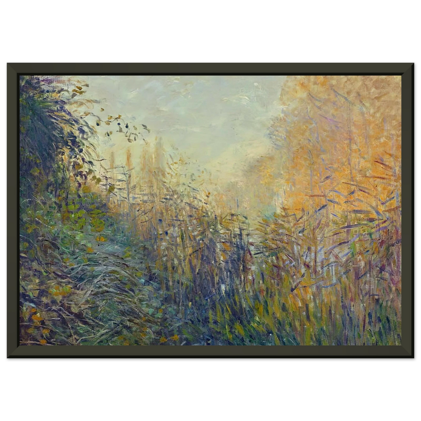 claude monet  Study Rushes at Argenteuil Framed Art Print  - Aluminum Frame - 40x50 cm / 16x20 inches