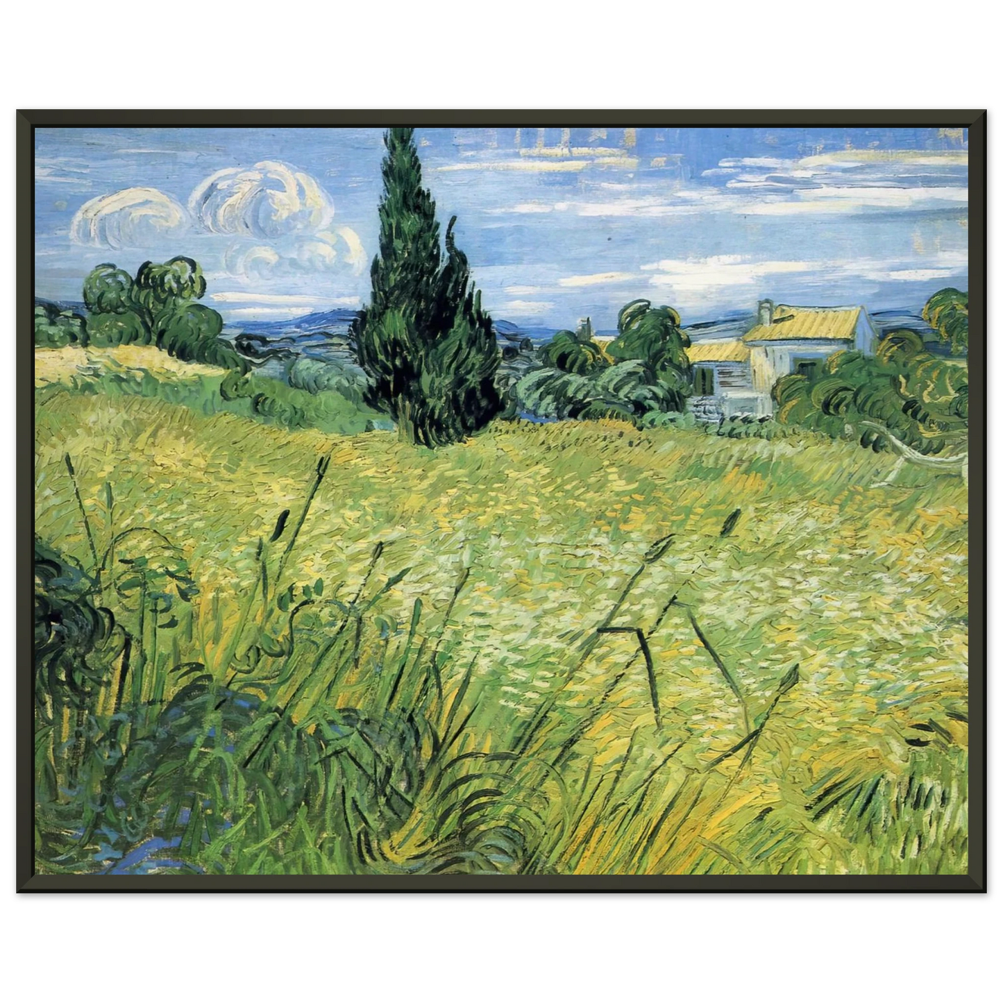 Vincent van Gogh  Green Wheat Field with Cypress Framed Art Print  - Aluminum Frame - 60x80 cm / 24x32 inches