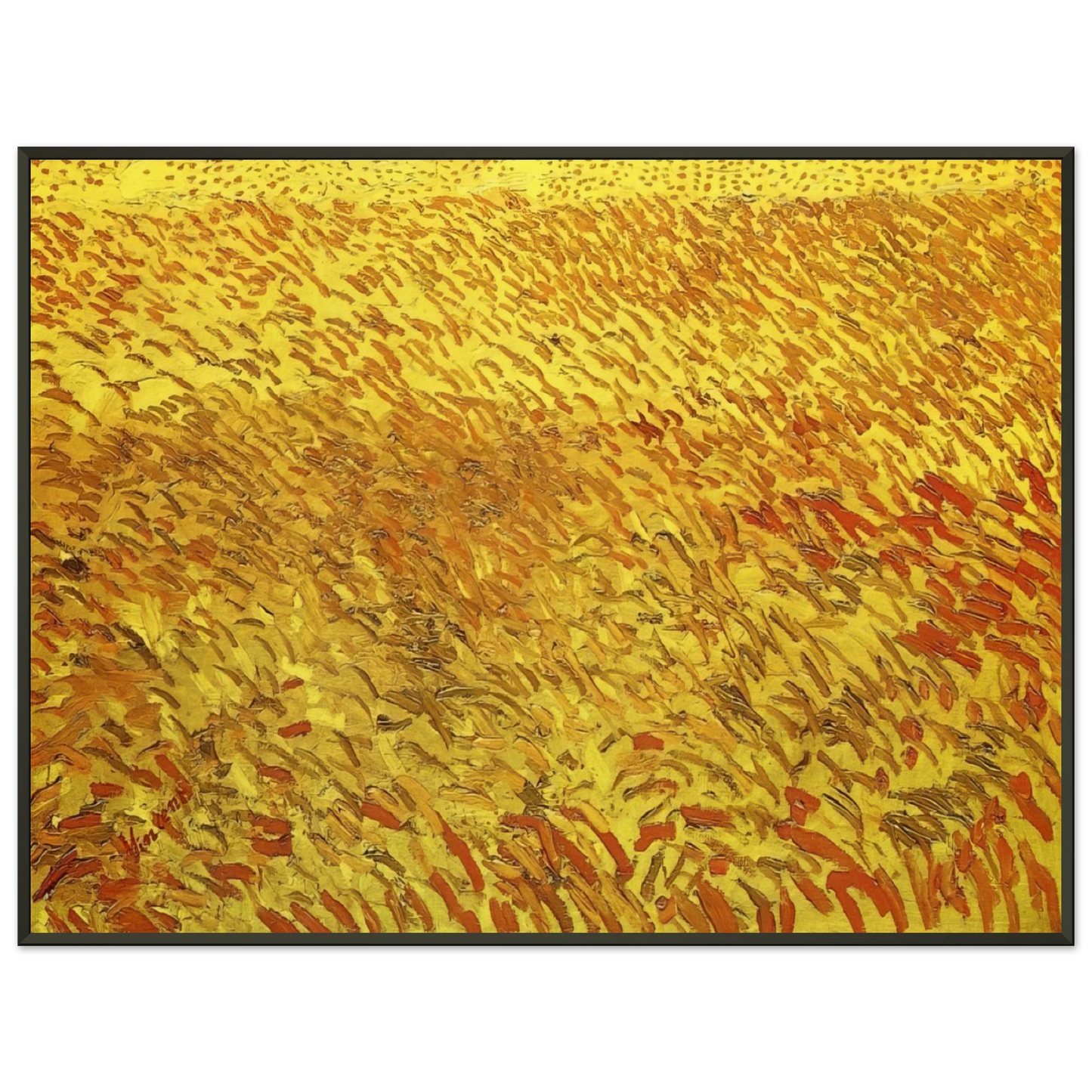 Vincent van Gogh  Summer Evening Wheatfield with Setting sun Framed Art Print  - Aluminum Frame - 40x50 cm / 16x20 inches
