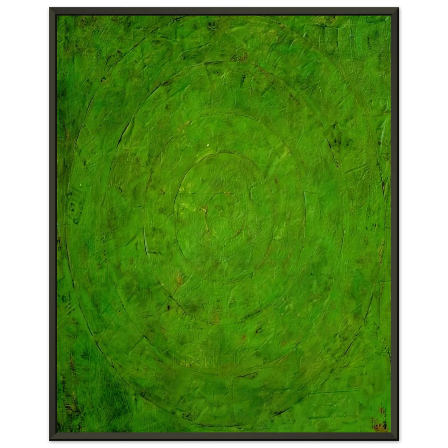 Jasper Johns GREEN TARGET Framed Art Print - Aluminum Frame - 40x50 cm / 16x20 inches