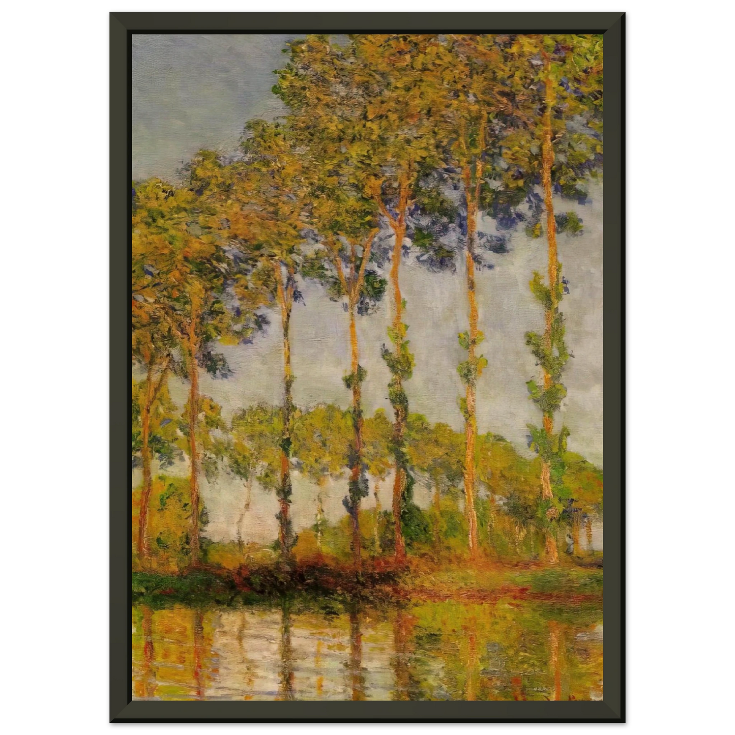claude monet Poplars Row in Autumn Framed Art Print - Aluminum Frame - 40x50 cm / 16x20 inches
