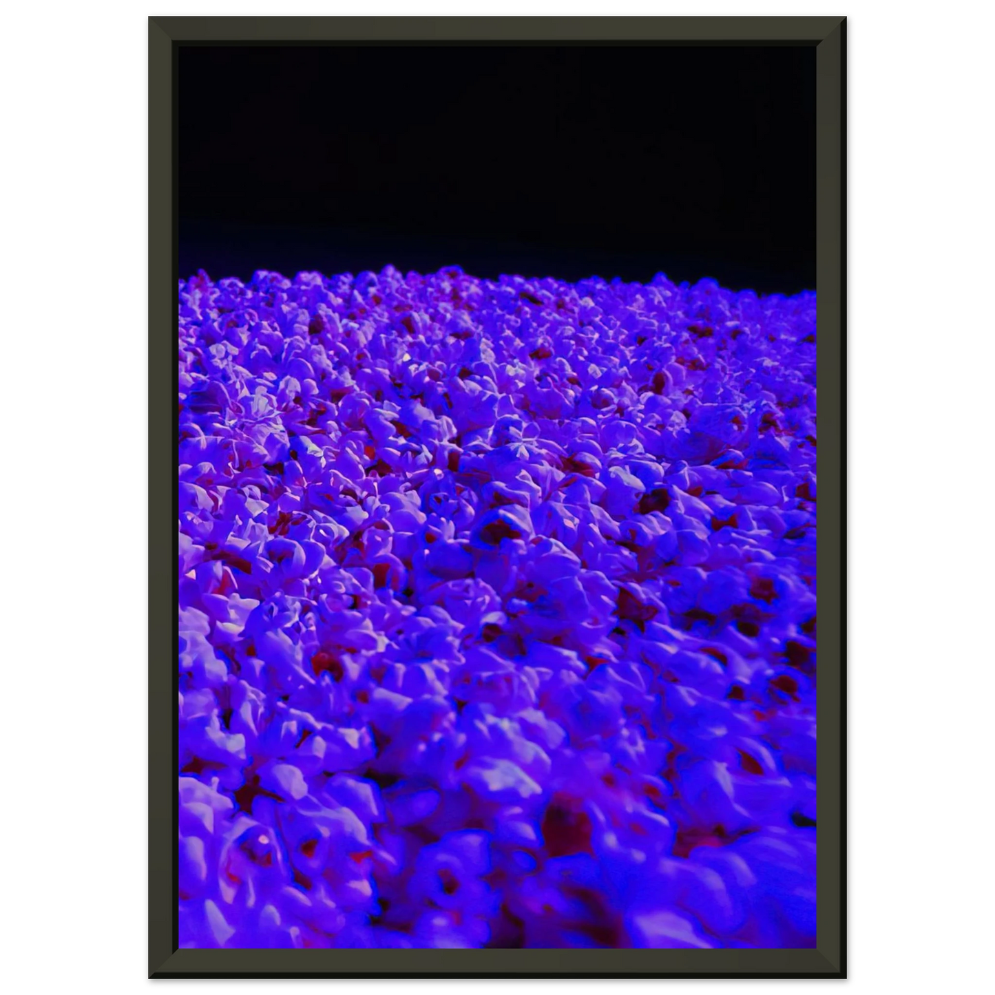 98d82740-0e2b-4b27-bc98-36e7762ba3e3